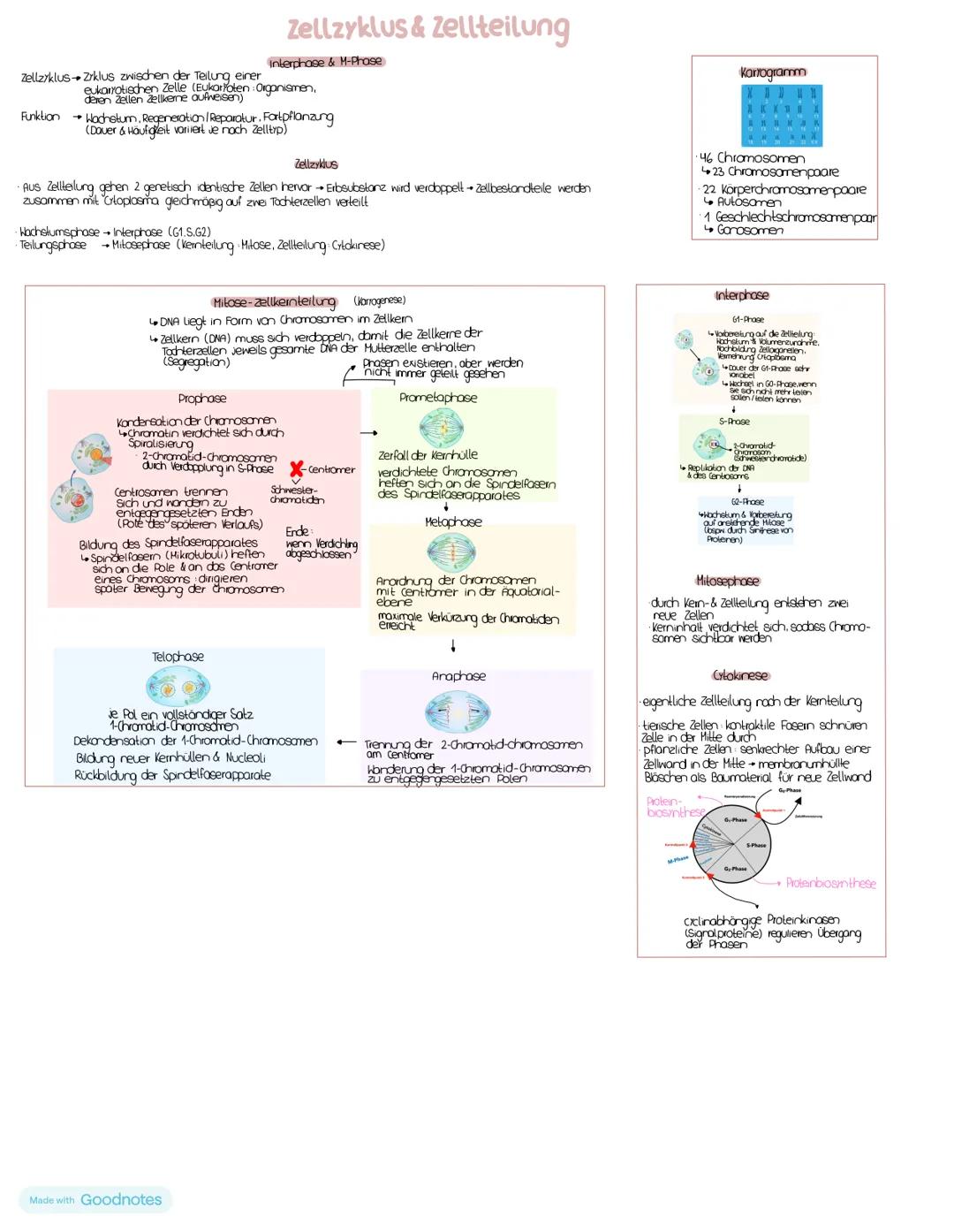 # Nucleinsäuren
## DNA/DNS (Desoxyribonucleinsäure)
DNA-Strong
5' Ende Phosphatgruppe
C3 Akam (3') der oberen
pentose verbindet sich
Uber
