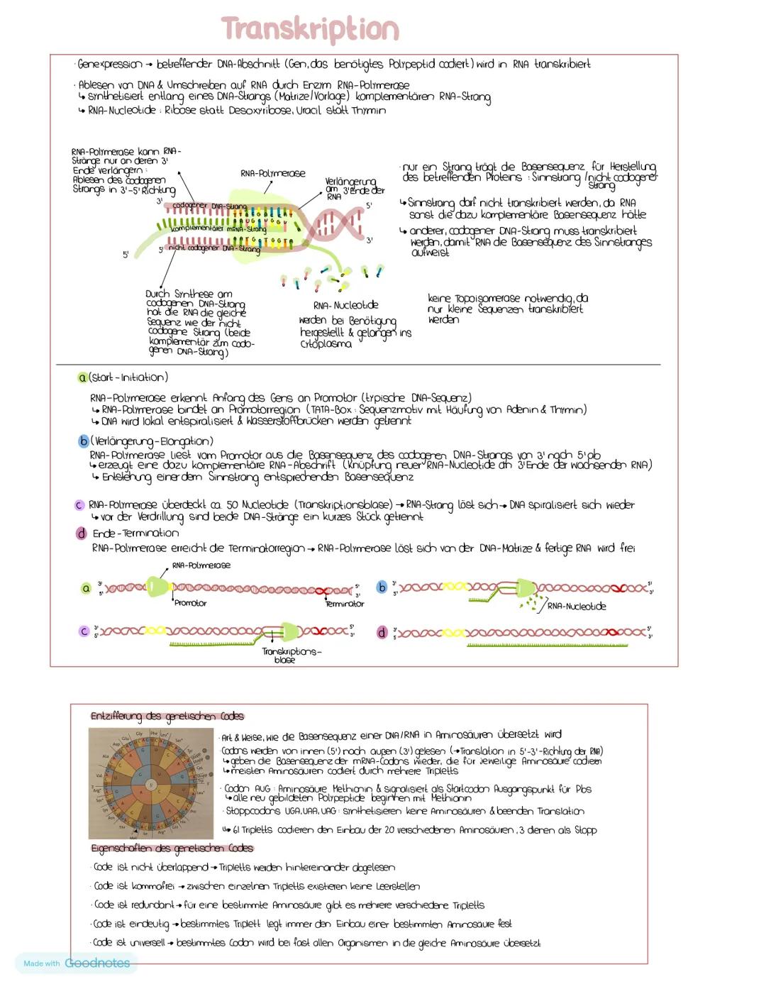 # Nucleinsäuren
## DNA/DNS (Desoxyribonucleinsäure)
DNA-Strong
5' Ende Phosphatgruppe
C3 Akam (3') der oberen
pentose verbindet sich
Uber