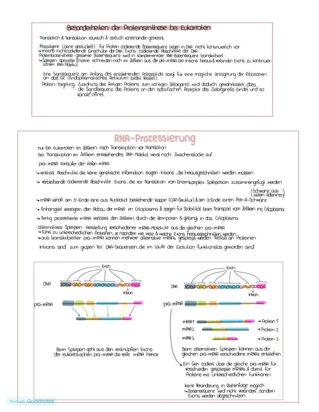 # Nucleinsäuren
## DNA/DNS (Desoxyribonucleinsäure)
DNA-Strong
5' Ende Phosphatgruppe
C3 Akam (3') der oberen
pentose verbindet sich
Uber