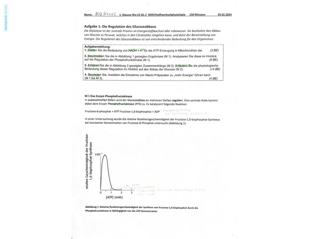 Stoffwechselphysiologie Bio-LK Klausur