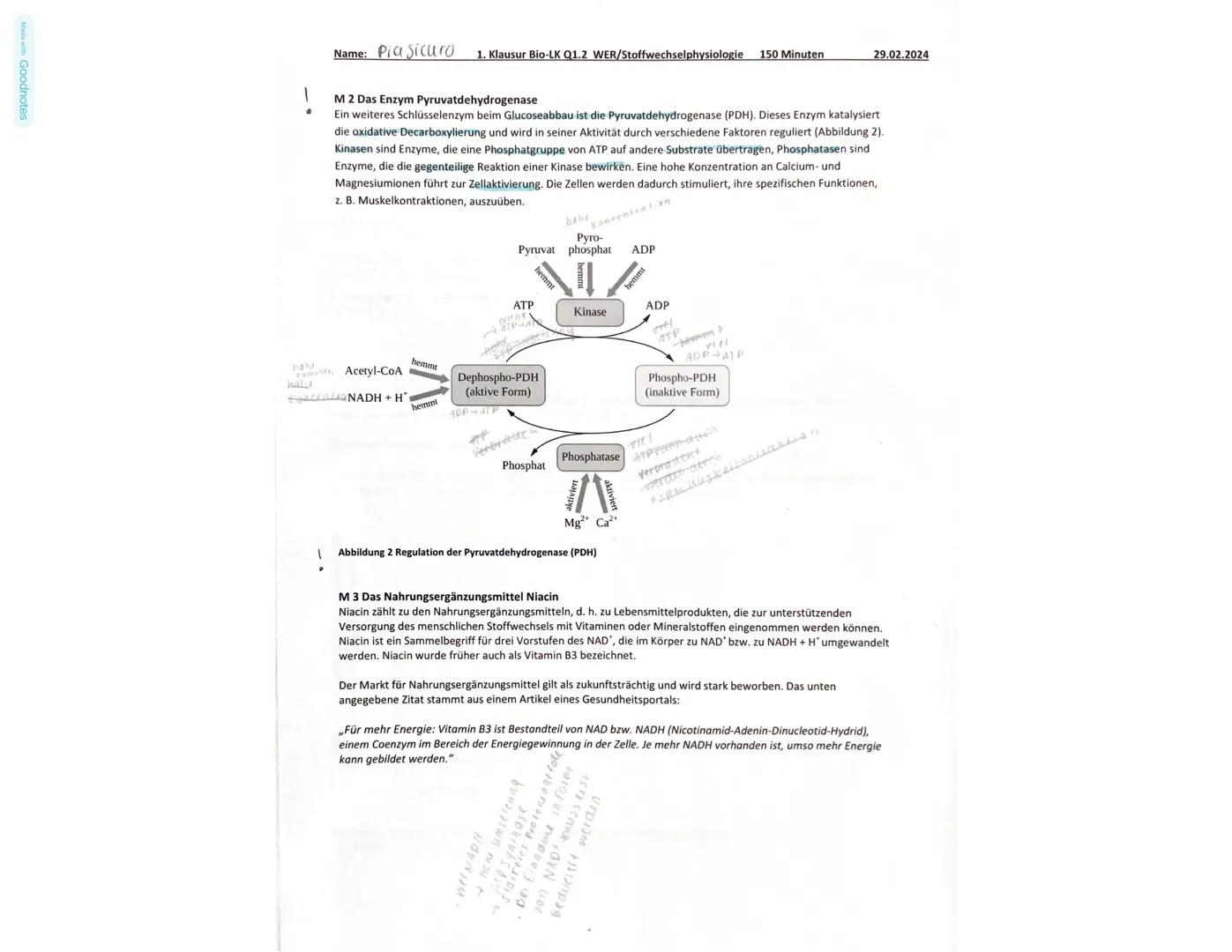 Made with Goodnotes
Name: Dia Sicurc 1. Klausur Bio-LK Q1.2 WER/Stoffwechselphysiologie 150 Minuten
29.02.2024
Aufgabe 1: Die Regulation des