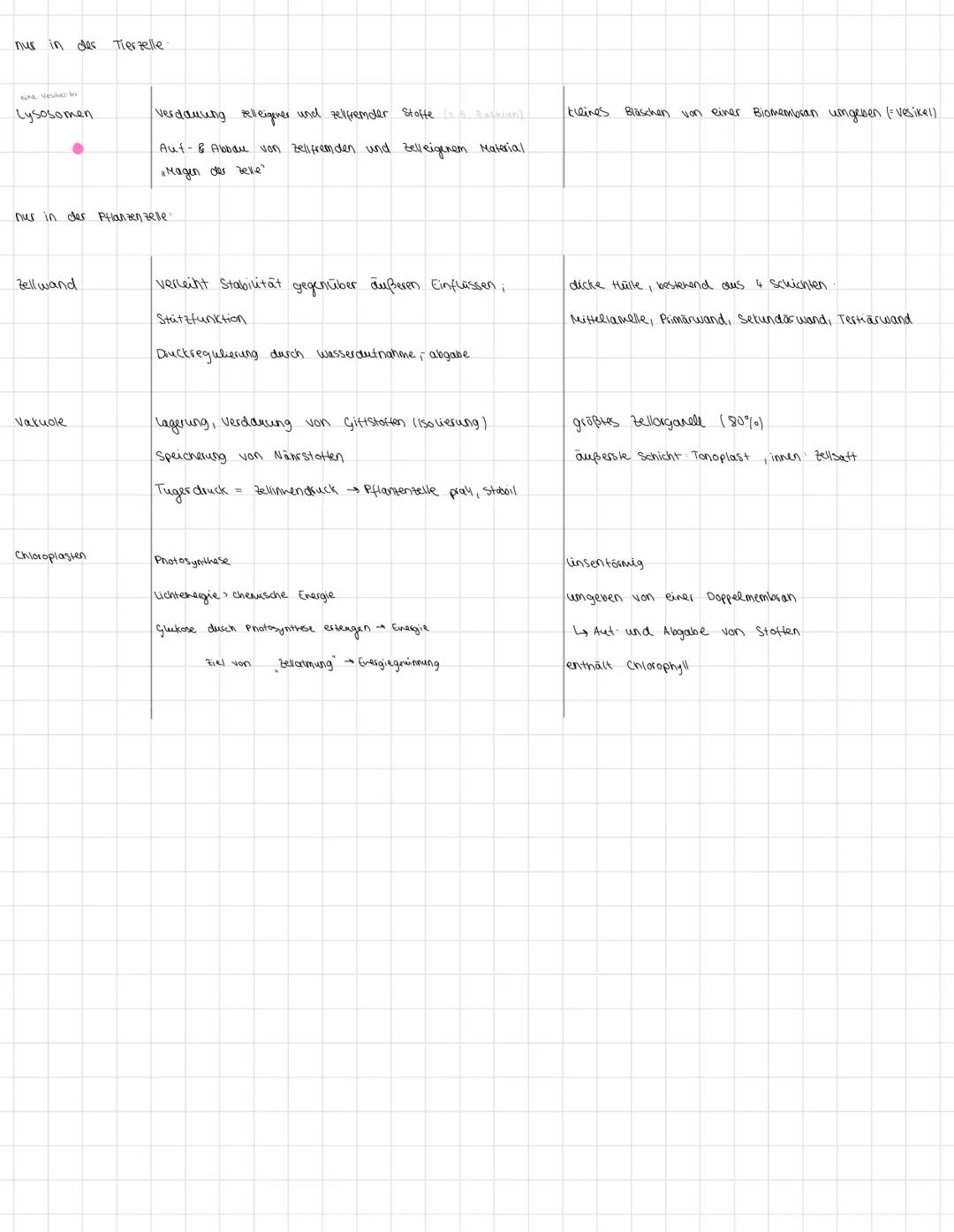 Zellorganellen + funktion.
Organell
Funktion
Zellkern
Lagerung / Speicherung der Erbinformationen in Form von Chromosomen,
Steuerung der Zel