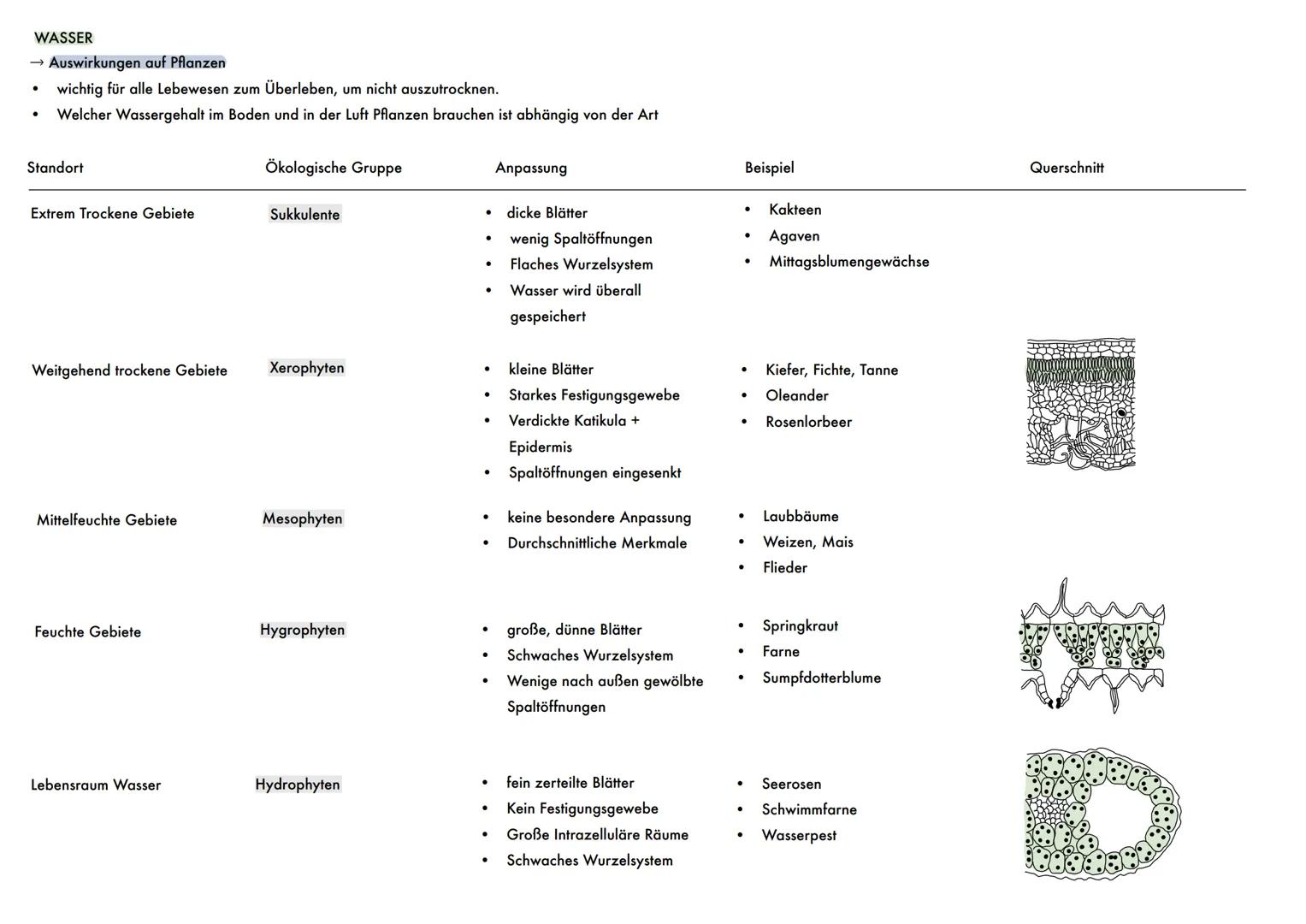 Ökologie
Biosphäre = Gesamtheit aller von Natur angebotenen Lebensbereichen → können von Organismen besiedelt werden
-Atmosphäre, Lithosphär