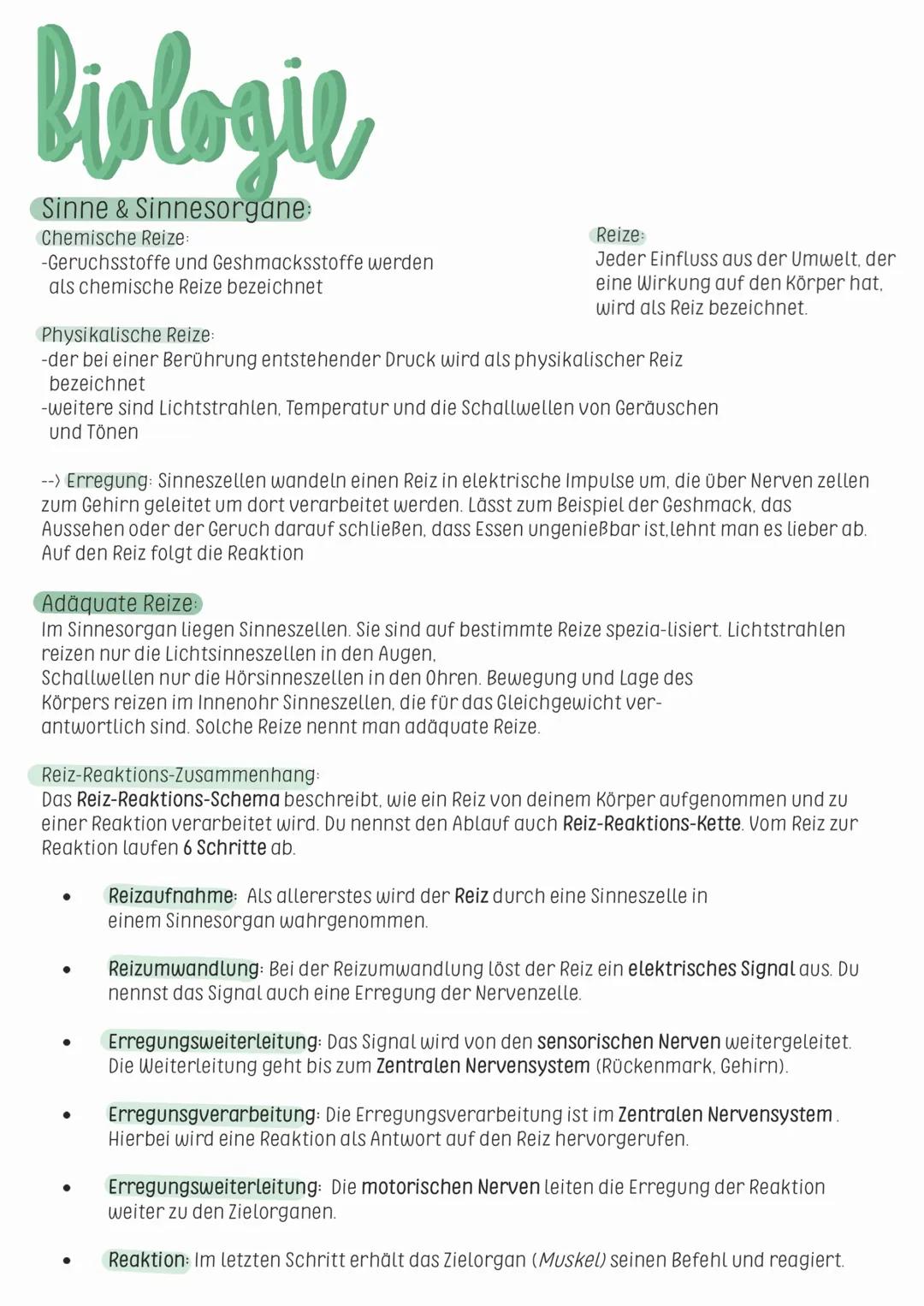 Sinne & Sinnesorgane