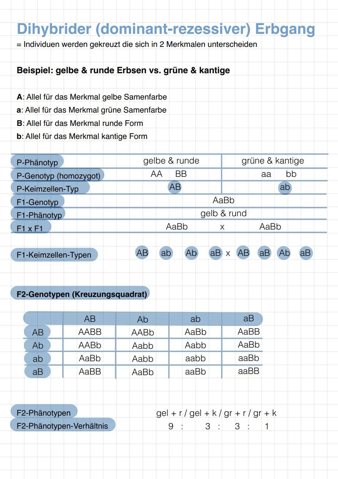 # Monohybrider Erbgang
= Individuen werden gekreuzt, die sich nur in einem Merkmal unterscheiden
Beispiel: Samenform
Hier: Homozygot (rei