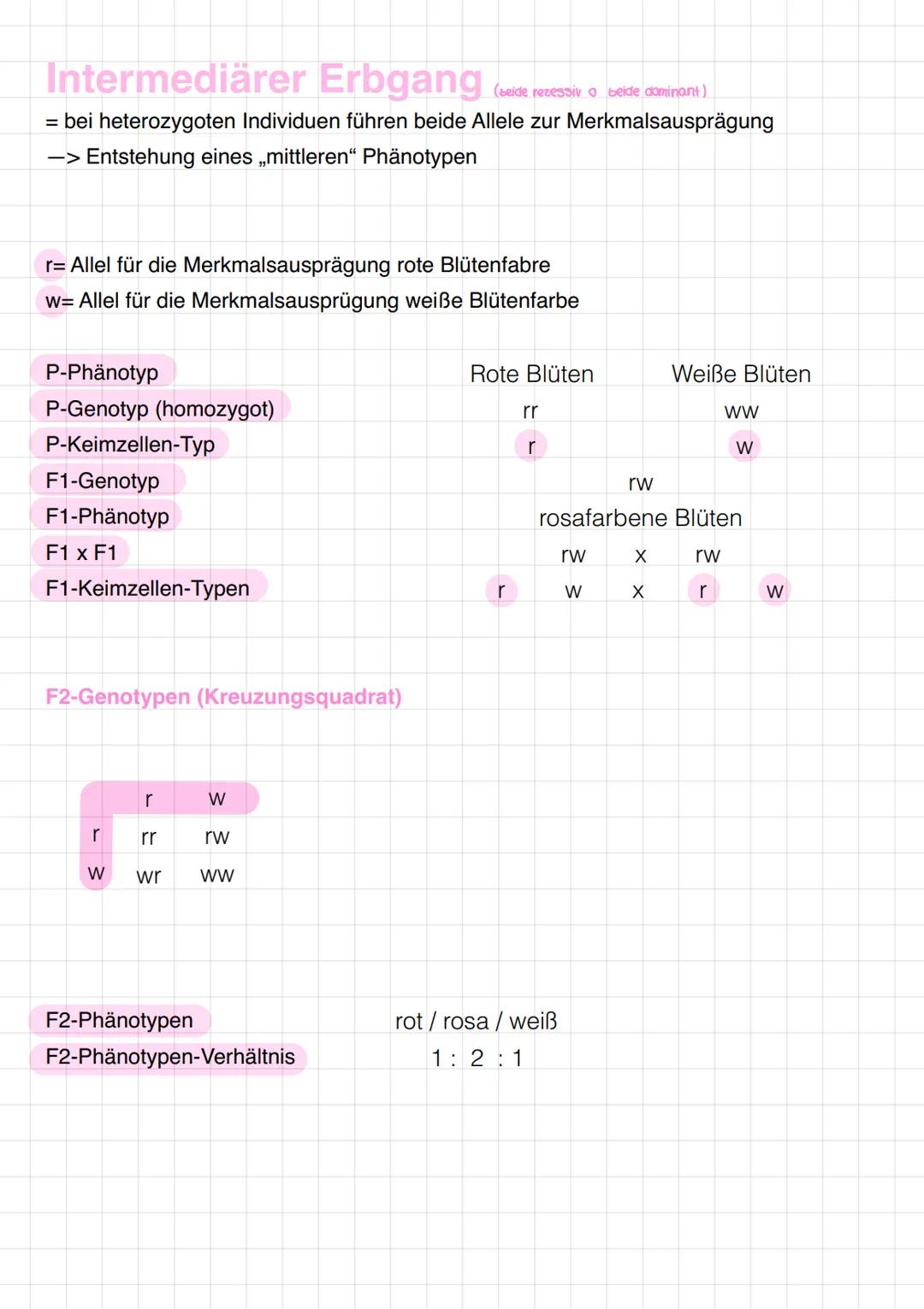 # Monohybrider Erbgang
= Individuen werden gekreuzt, die sich nur in einem Merkmal unterscheiden
Beispiel: Samenform
Hier: Homozygot (rei