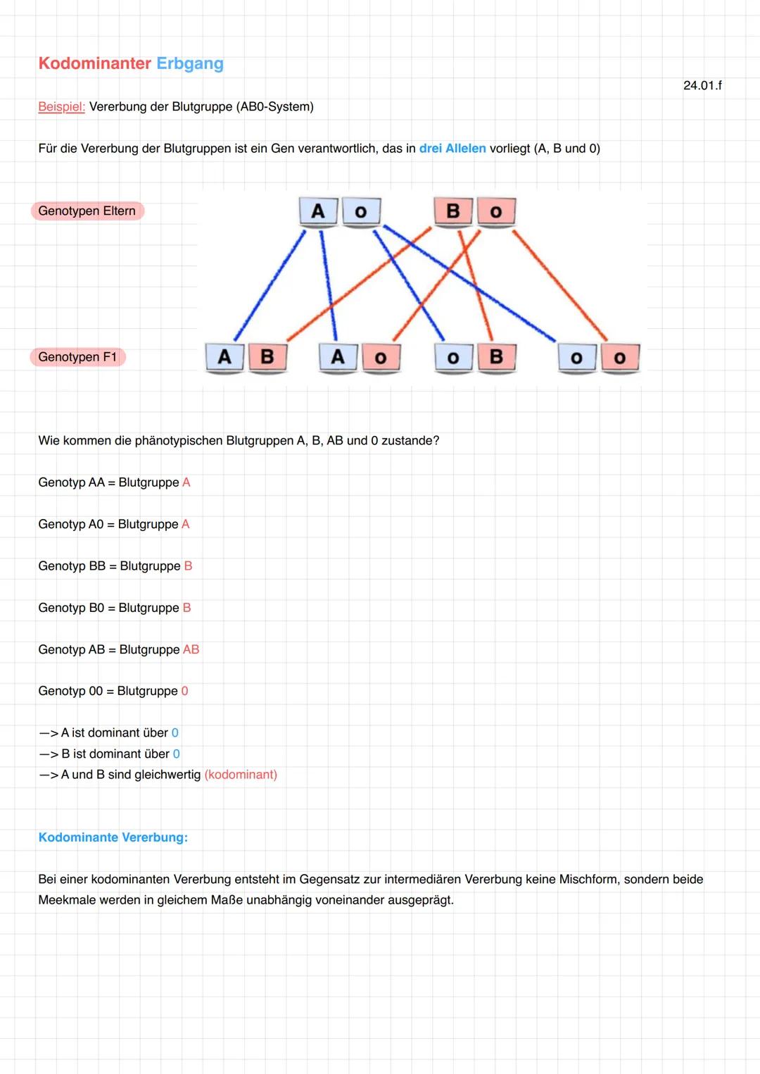 # Monohybrider Erbgang
= Individuen werden gekreuzt, die sich nur in einem Merkmal unterscheiden
Beispiel: Samenform
Hier: Homozygot (rei