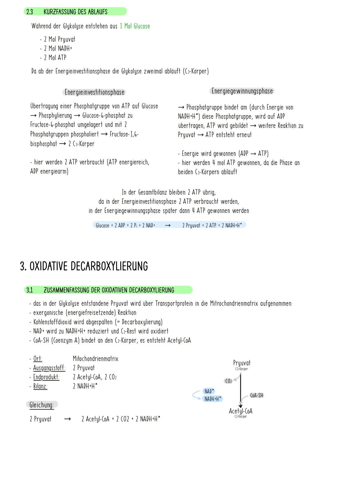 1. ZELLATMUNG
1.1
DEFINITION UND BESCHREIBUNG DER ZELLATMUNG
findet in Mitochondrien statt
• Energie wird freigesetzt
Energie wird in Form v