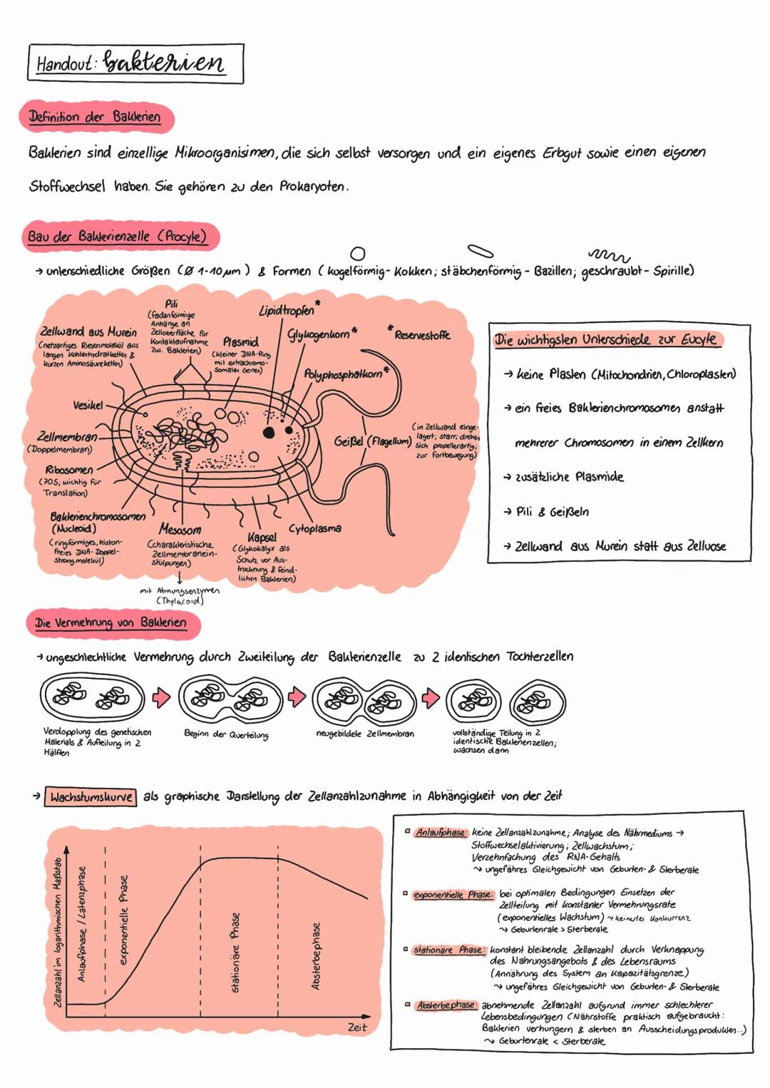 # Handout: bakterien
Definition der Bakterien
Bakterien sind eizellige Mikroorganisimen, die sich selbst versorgen und ein eigenes Erbgut