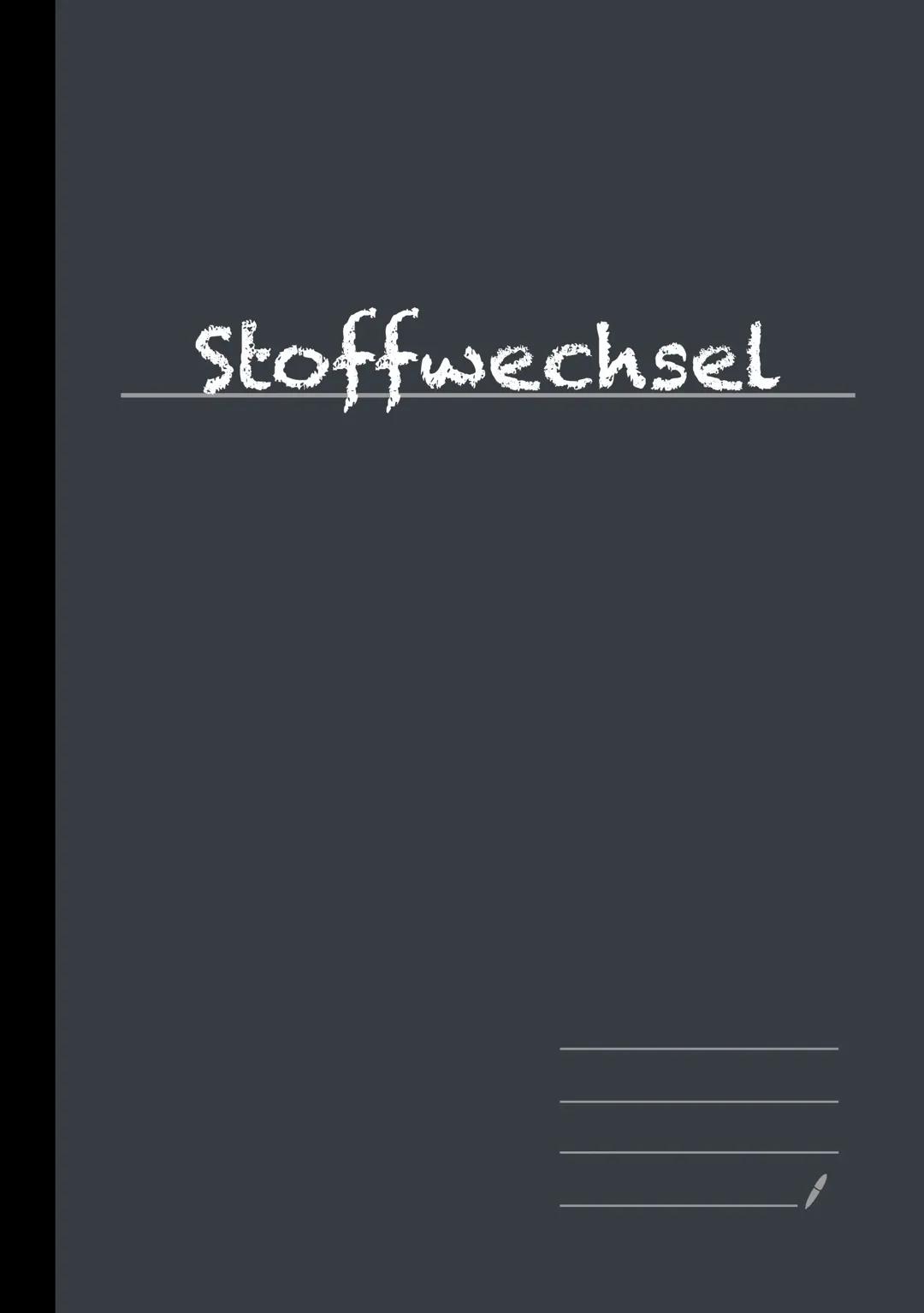 Stoffwechsel Abitur Lernzettel