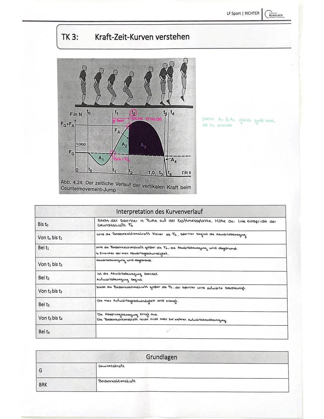 TK2 Biomechanik/Bewegungslehre
Phasenmodell und Funktionsanalyse
Phasenmodell (Meinel und Schnabel)
-> Eine ganzheitliche Betrachtung der Be