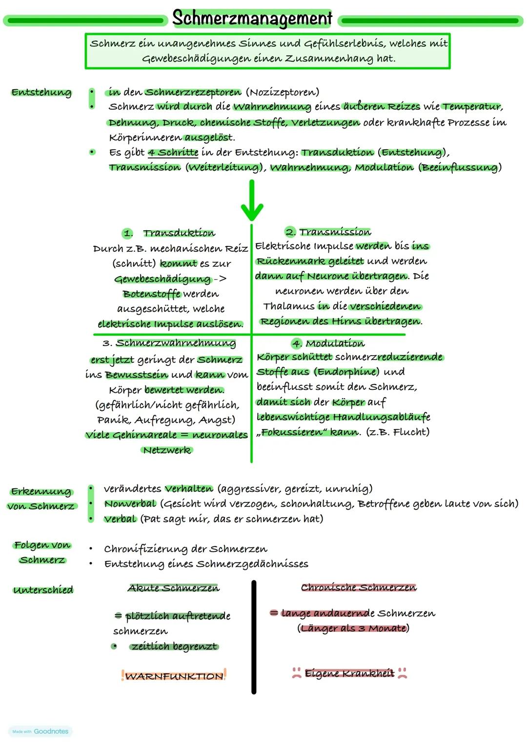 Schmerzmanagement Pflege