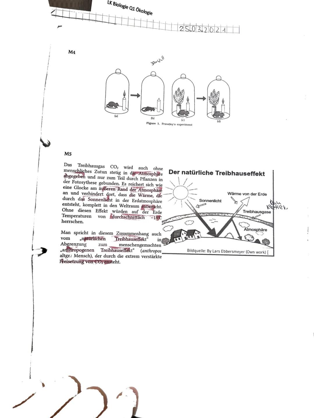 Aufgabe 1: Du hast...
a)
das Diagramm zur Ökologischen Potenz mit den entsprechenden
Fachbegriffen korrekt beschriftet. (Je 1 P)
...
die Fac
