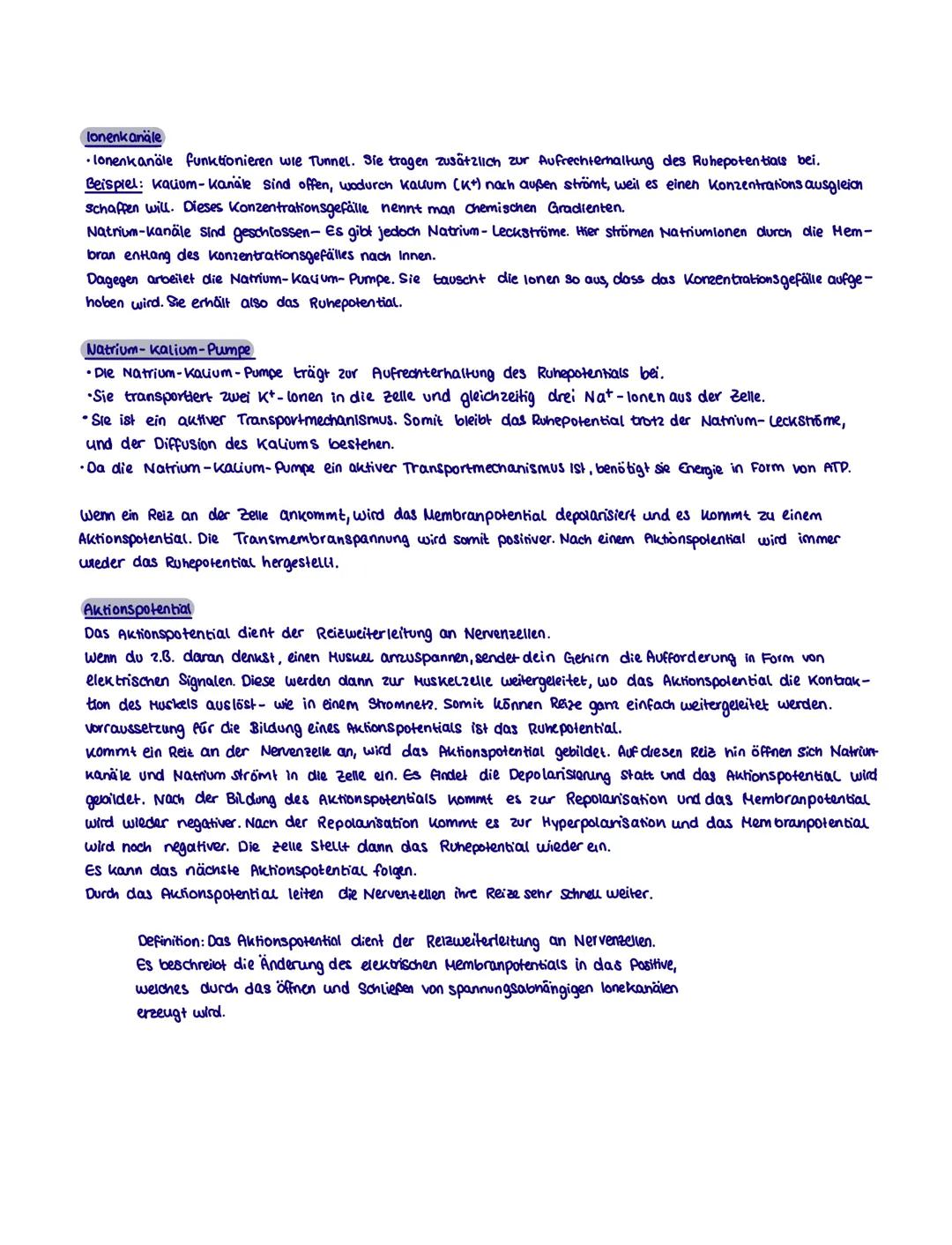 # Neurobiologie
Neurobiologie beschäftigt sich mit dem Bau und der Funktion einer Nerven- und sinneszelle. Sie untersucht
die Umwandlung vo