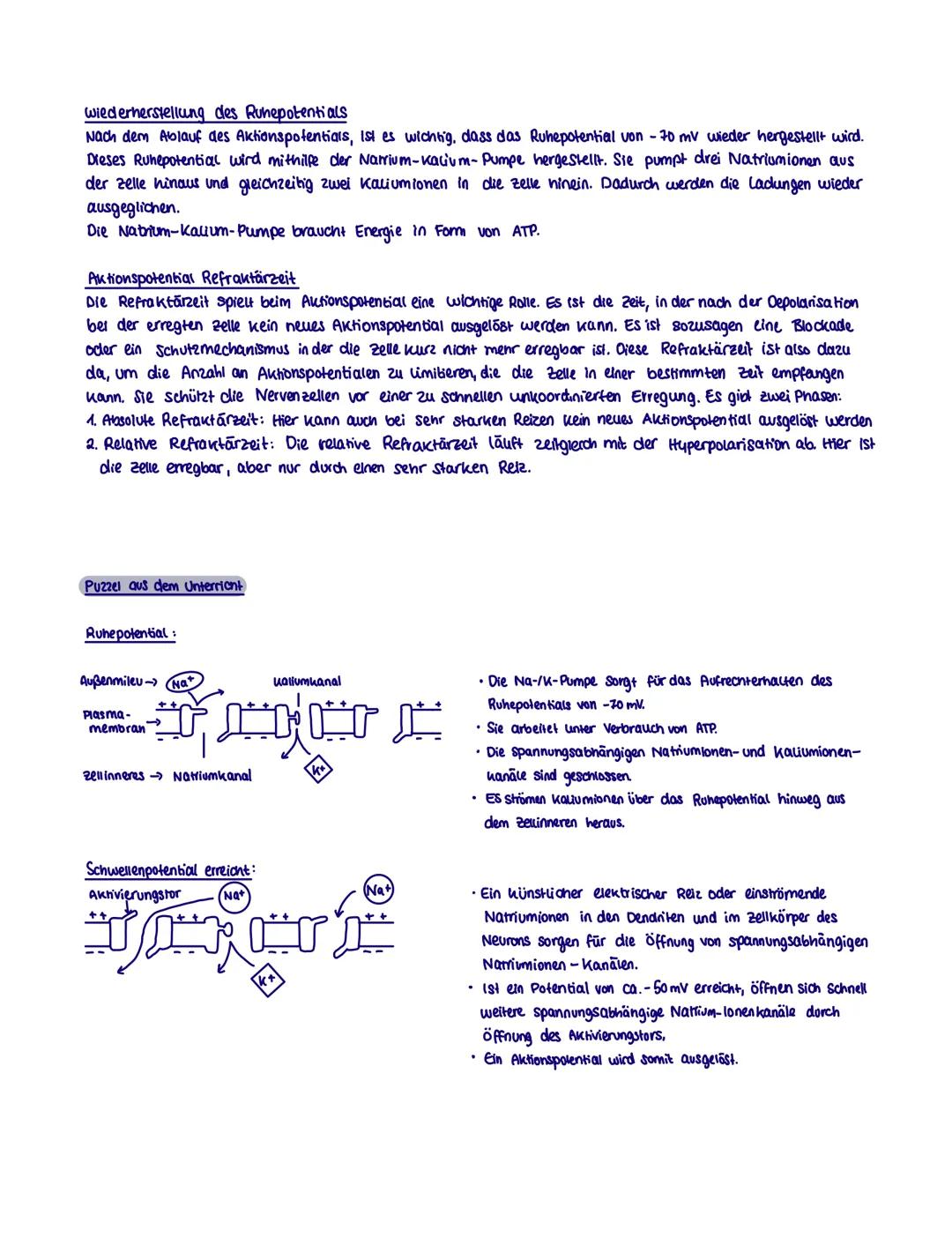 # Neurobiologie
Neurobiologie beschäftigt sich mit dem Bau und der Funktion einer Nerven- und sinneszelle. Sie untersucht
die Umwandlung vo