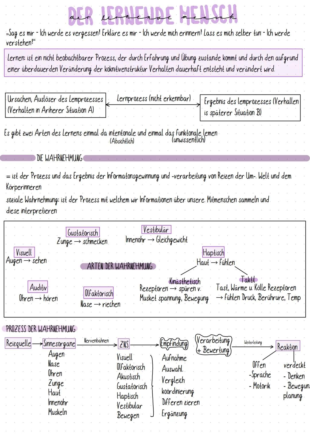 DER LERNENDE MENSCH
„Sag es mir - Ich werde es vergessen! Erkläre es mir - Ich werde mich erinnern! Lass es mich selber tun - Ich werde
vers