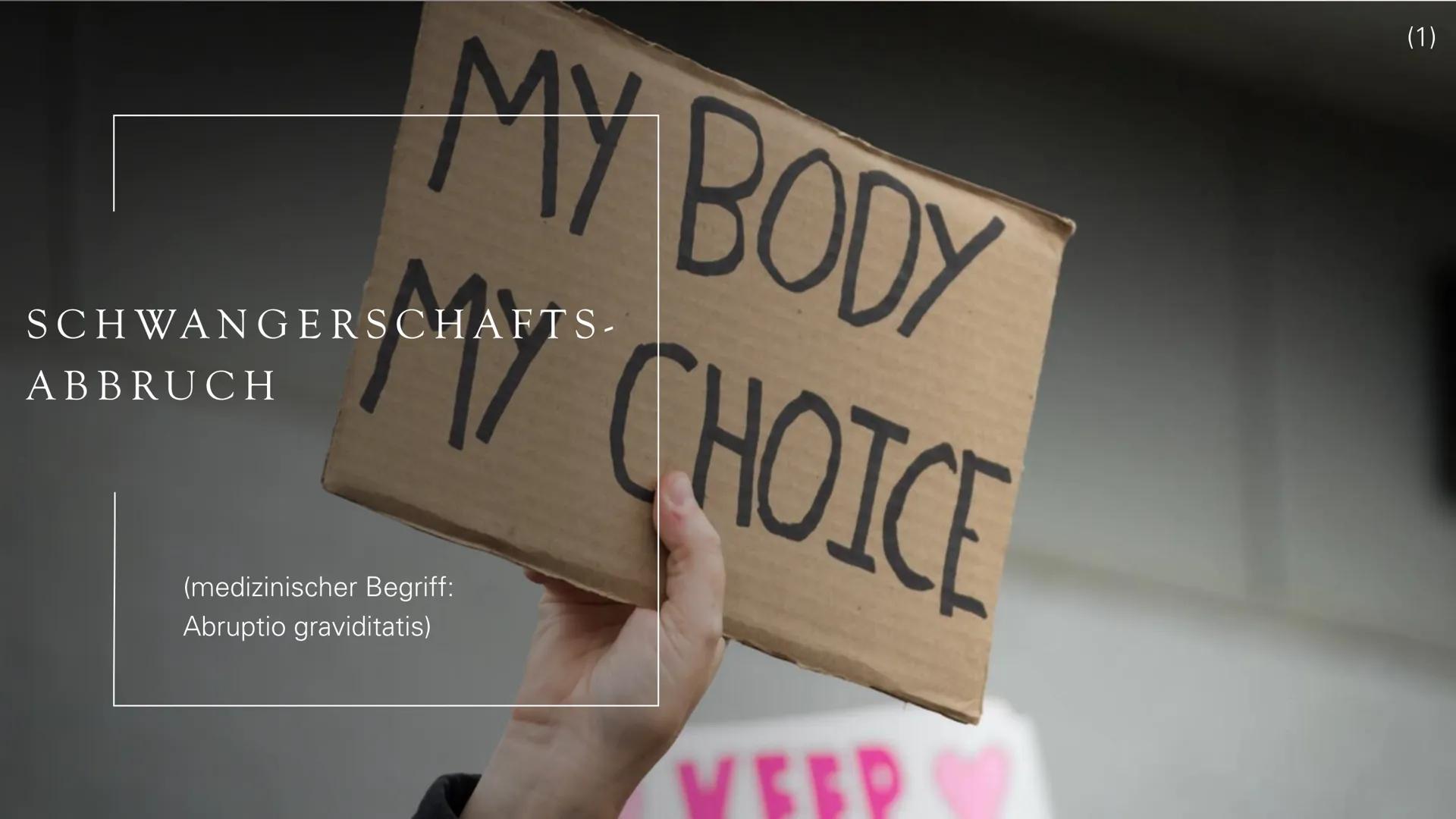 MY BODY
SCHWANGERSCHAFTS-
GERSCHAFT
ABBRUCH
MY CHOICE
(medizinischer Begriff:
Abruptio graviditatis)
VEEP
(1) INHALT
•
.
Unterschied zw
