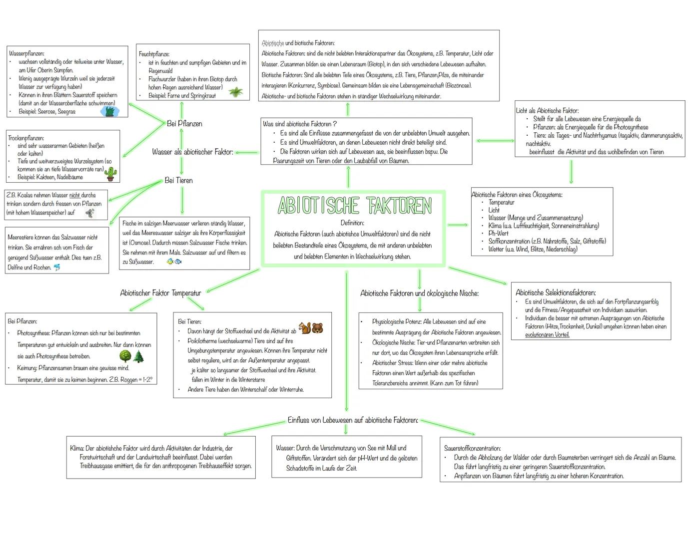 Wasserpflanzen:
wachsen vollständig oder teilweise unter Wasser,
am Ufer Oberin Sümpfen.
Wenig ausgeprägte Wurzeln weil sie jederzeit
Wasser