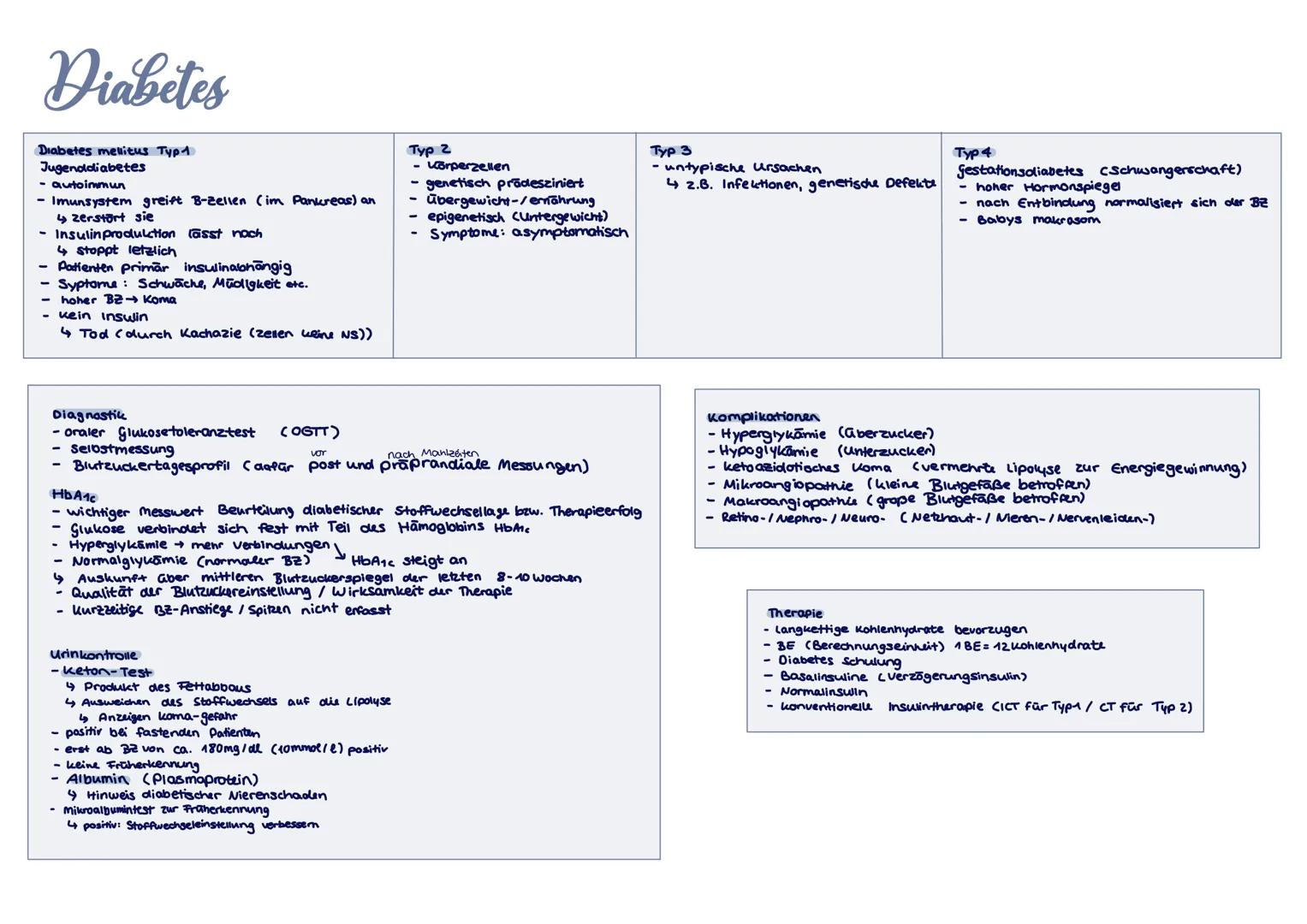 verdaauungssystem # Anatomie
Mundhönle
Zähne
ösophagus (Speiseröhre).
Ösophaguspninkter.
-Speichelarüsen
Pharynx (Rachen)
Magen
Prox