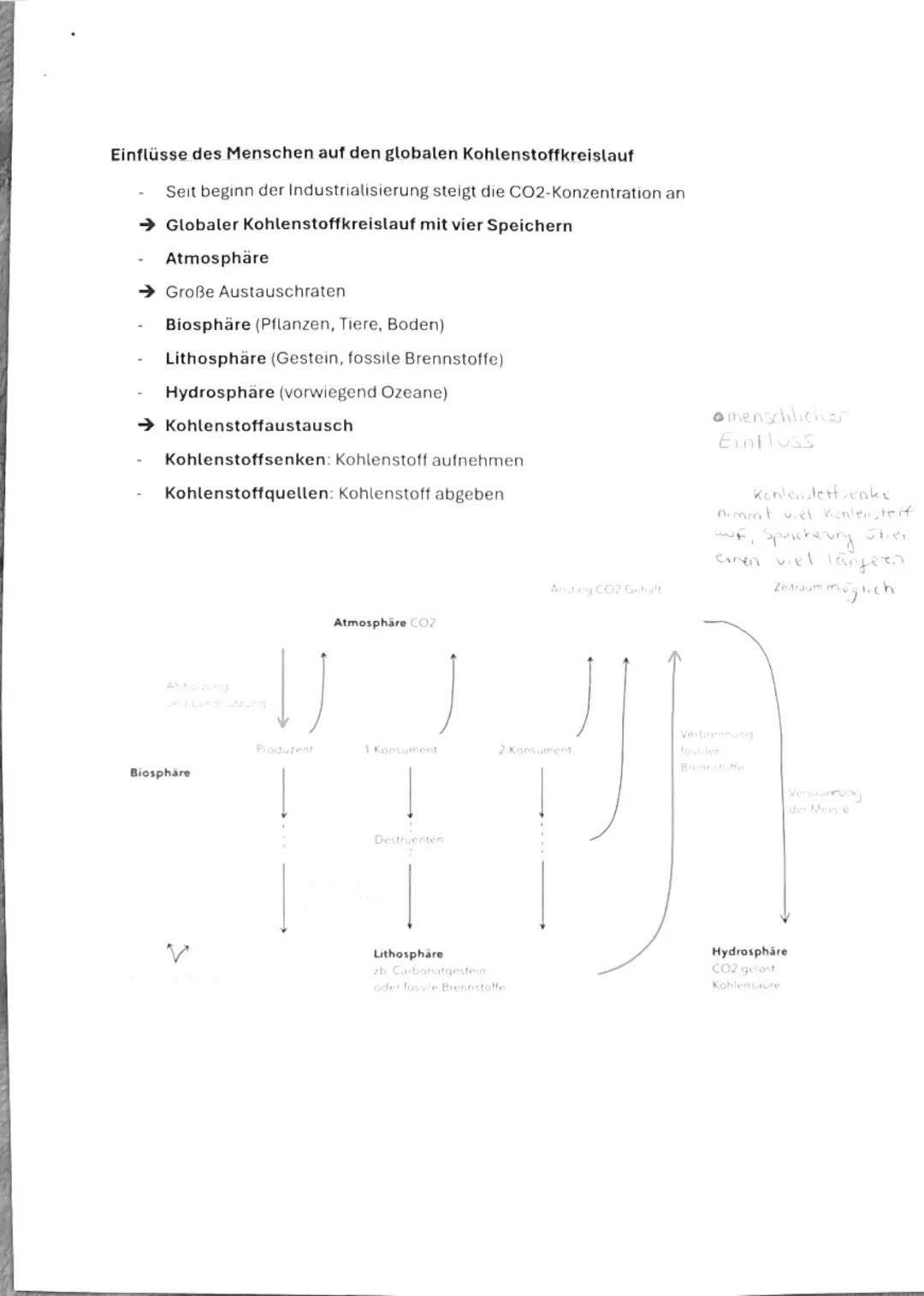 Ökologie
Überblick:
1. Wichtige Begriffe klären
- Okosysteme
- Biotop
- Biozonose
- Biotische und abiotische Faktoren
- Okologische Nische