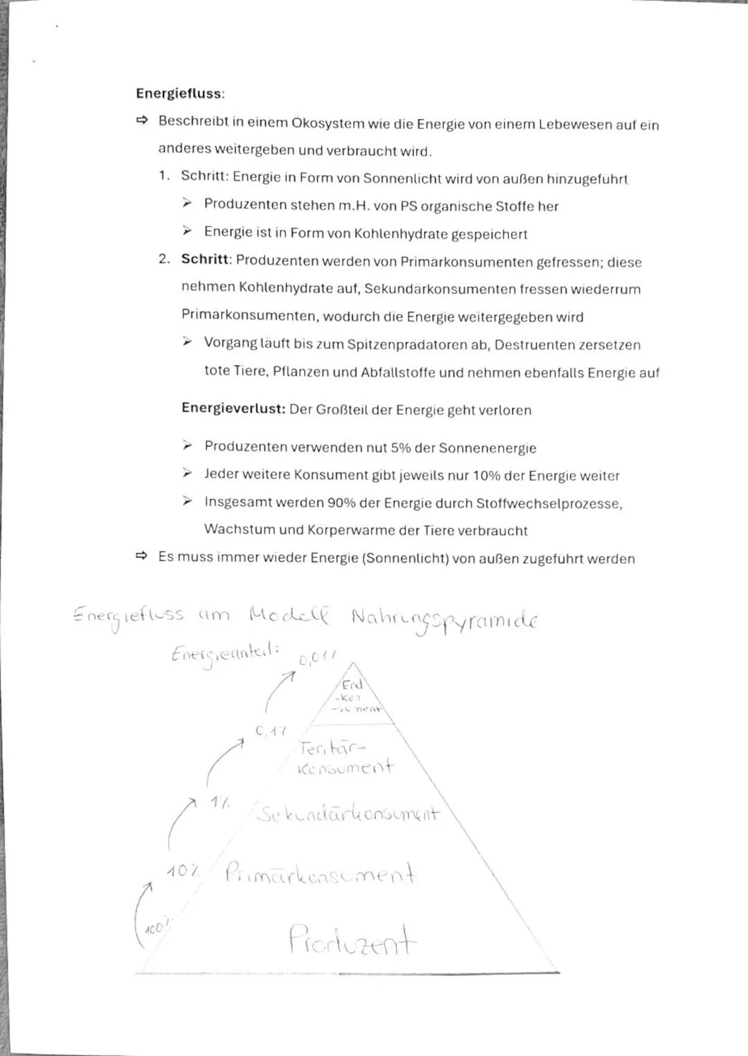 Ökologie
Überblick:
1. Wichtige Begriffe klären
- Okosysteme
- Biotop
- Biozonose
- Biotische und abiotische Faktoren
- Okologische Nische