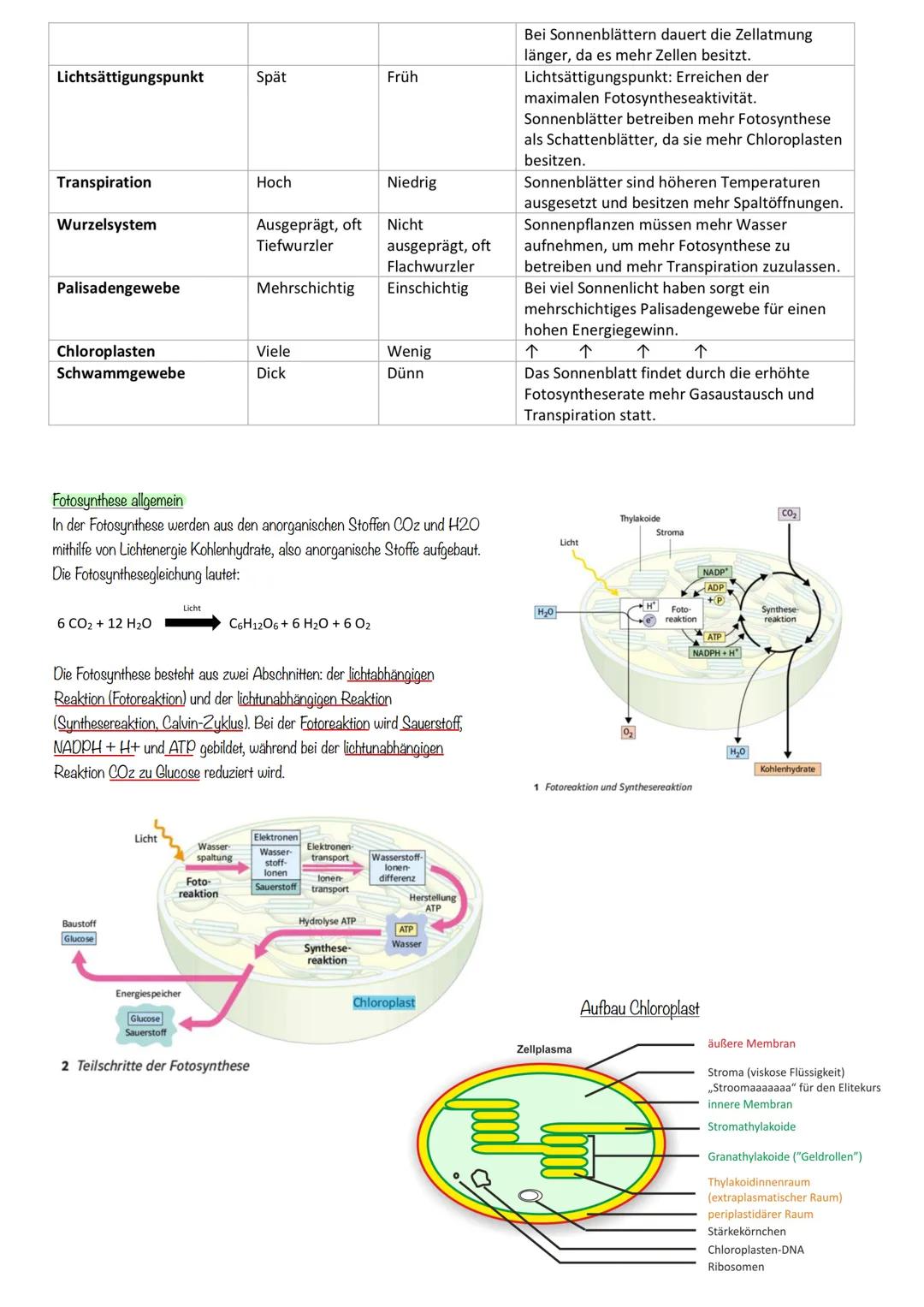# Ökologie
Ökologie:
Ein Teilgebiet der Biologie, das sich mit den Wechselbeziehungen zwischen Organismen und ihrer Umwelt beschäftigt.
Bi