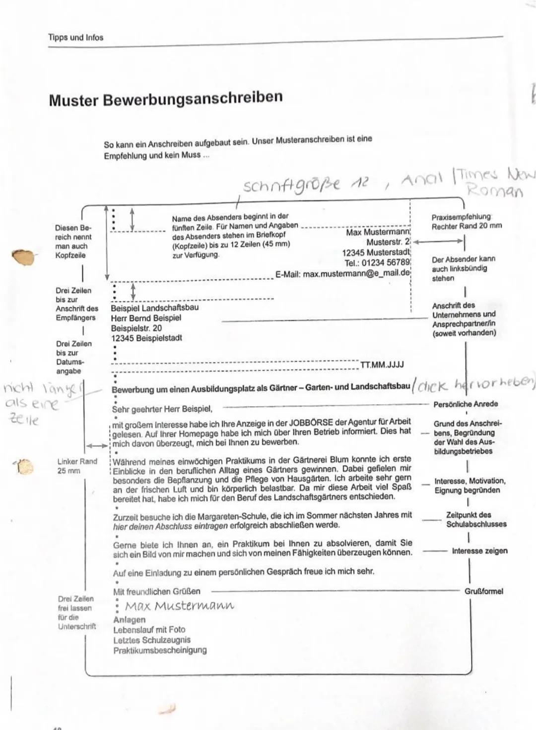 Tipps und Infos
Muster Lebenslauf
So kann ein gelungener Lebenslauf aussehen:
Lebenslauf
Angaben zur Person
Name:
Max Mustermann
Anschrift: