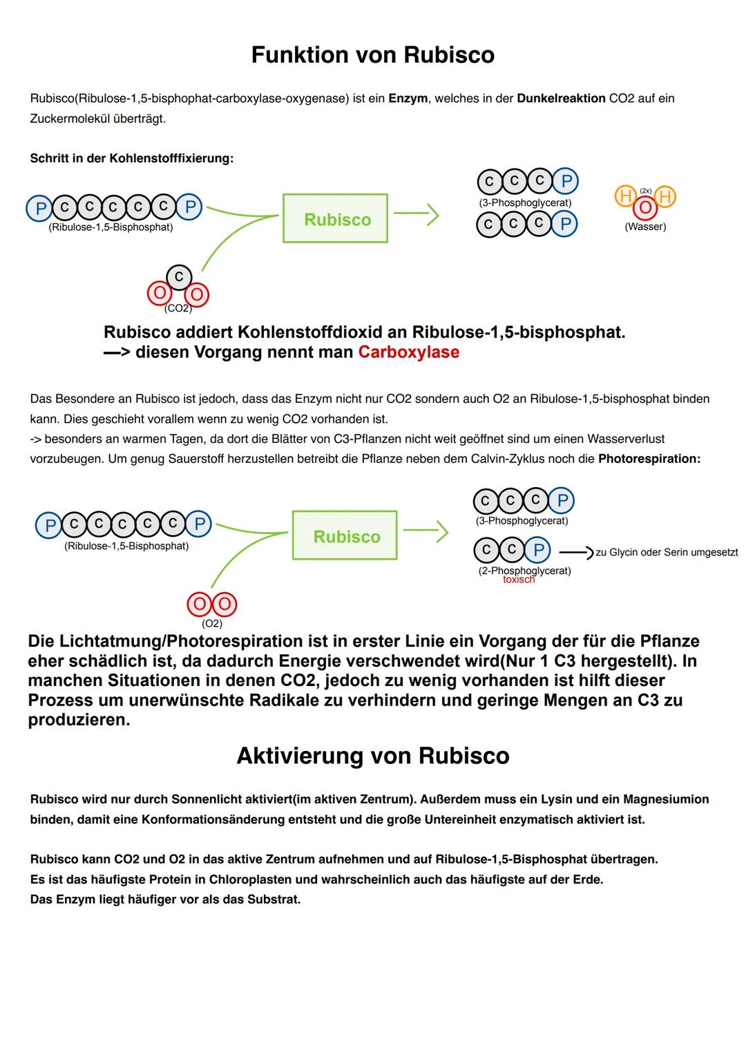 Q2.2 Grundlegende Stoffwechselprozesse: Fotosynthese und Grundlagen der
Zellatmung
grundlegendes Niveau (Grundkurs und Leistungskurs)
Blatta
