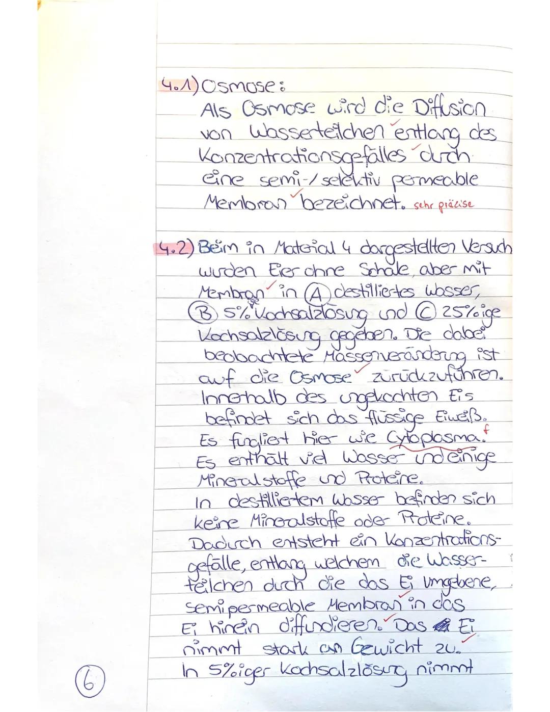 Altklausur (14 Punkte)
Biologie 11.1
Thema:
Bau und Funktion von
Zellen
→ Mit Aufgaben, Materialien
und von einer Lehrkraft
korrigierten Lös