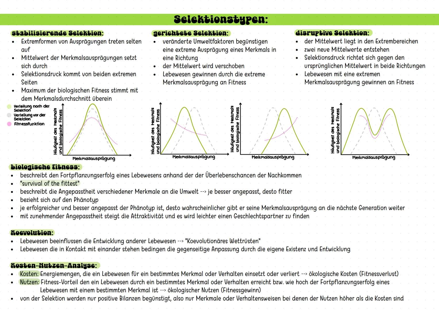 # Evolution
Abstammungslehre:
* Leben hat sich entwickelt
* Erde und Leben bestehen schon seit Millionen Jahren
* neve Arten entsteh