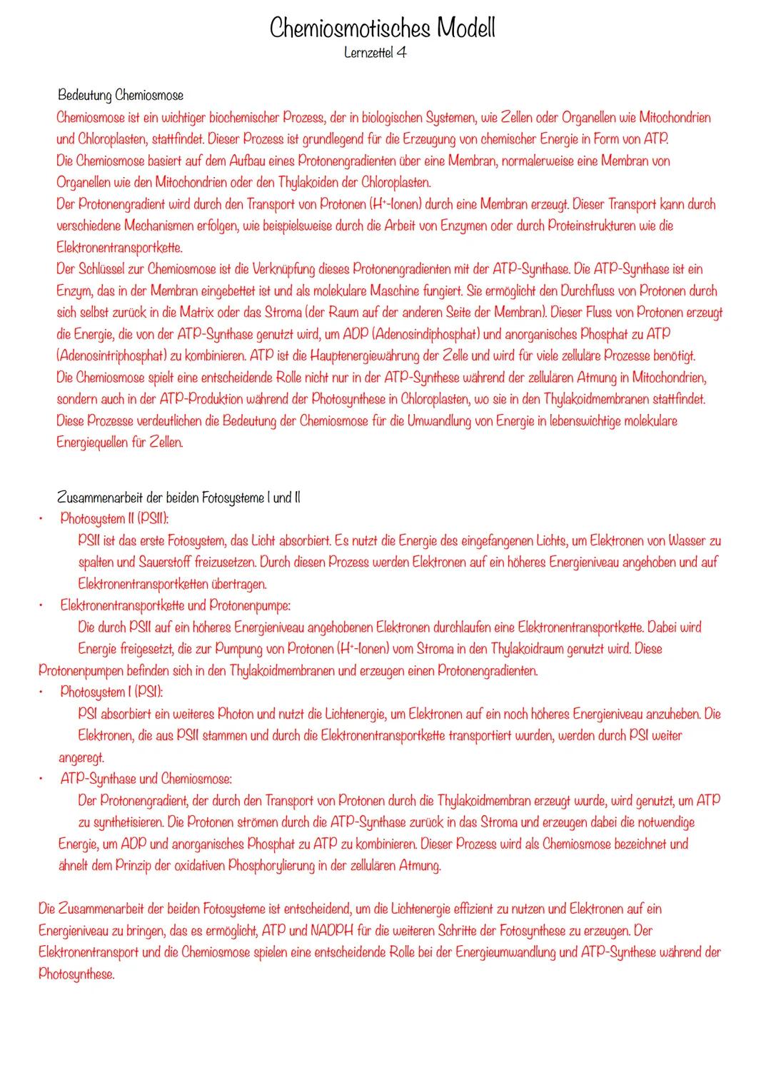 ATP (Adenosintriphosphat) als universeller Energieträger
Adenosintriphosphatformen kennen
ATP, ADP, AMP
Bau ATP-Molekül
Adenin NH₂
Lernzette