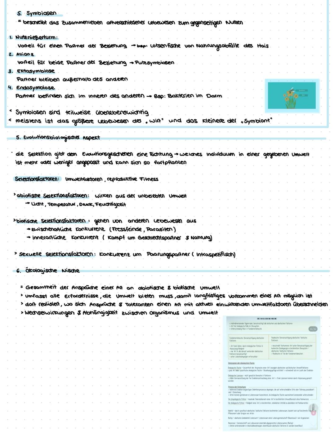 G2.1 Strukturien von ökasystemen
1. Begriff's Definition
Biotop Lebensraum der organismen eines Okosystems
Biozänase Lebensgemeinschaft inne
