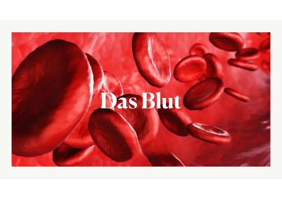 Biologie | Das Blut Präsentation