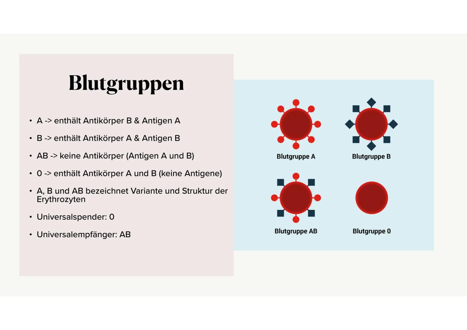 Das Blut Gliederung
.
•
Aufgaben des Bluts
Bestandteile des Bluts
⚫ Blutplasma
• Erythrozyten, Thrombozyten, Leukozyten
·
Blutgruppen
•
Rhes