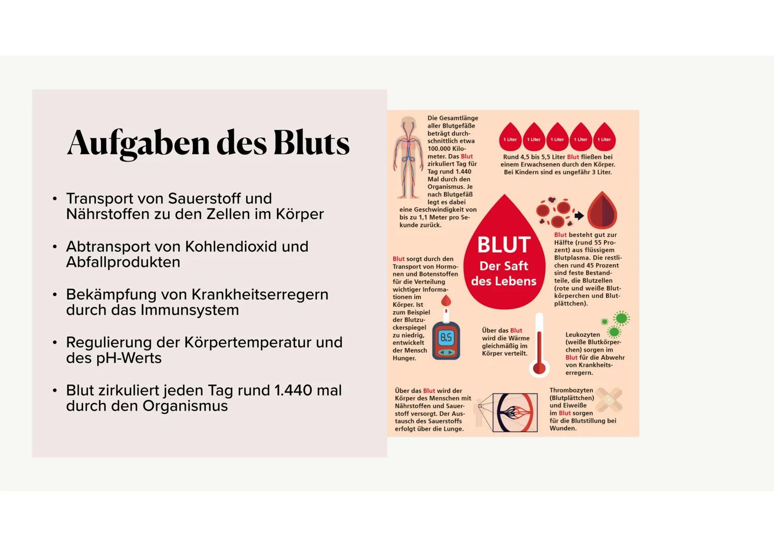 Das Blut Gliederung
.
•
Aufgaben des Bluts
Bestandteile des Bluts
⚫ Blutplasma
• Erythrozyten, Thrombozyten, Leukozyten
·
Blutgruppen
•
Rhes