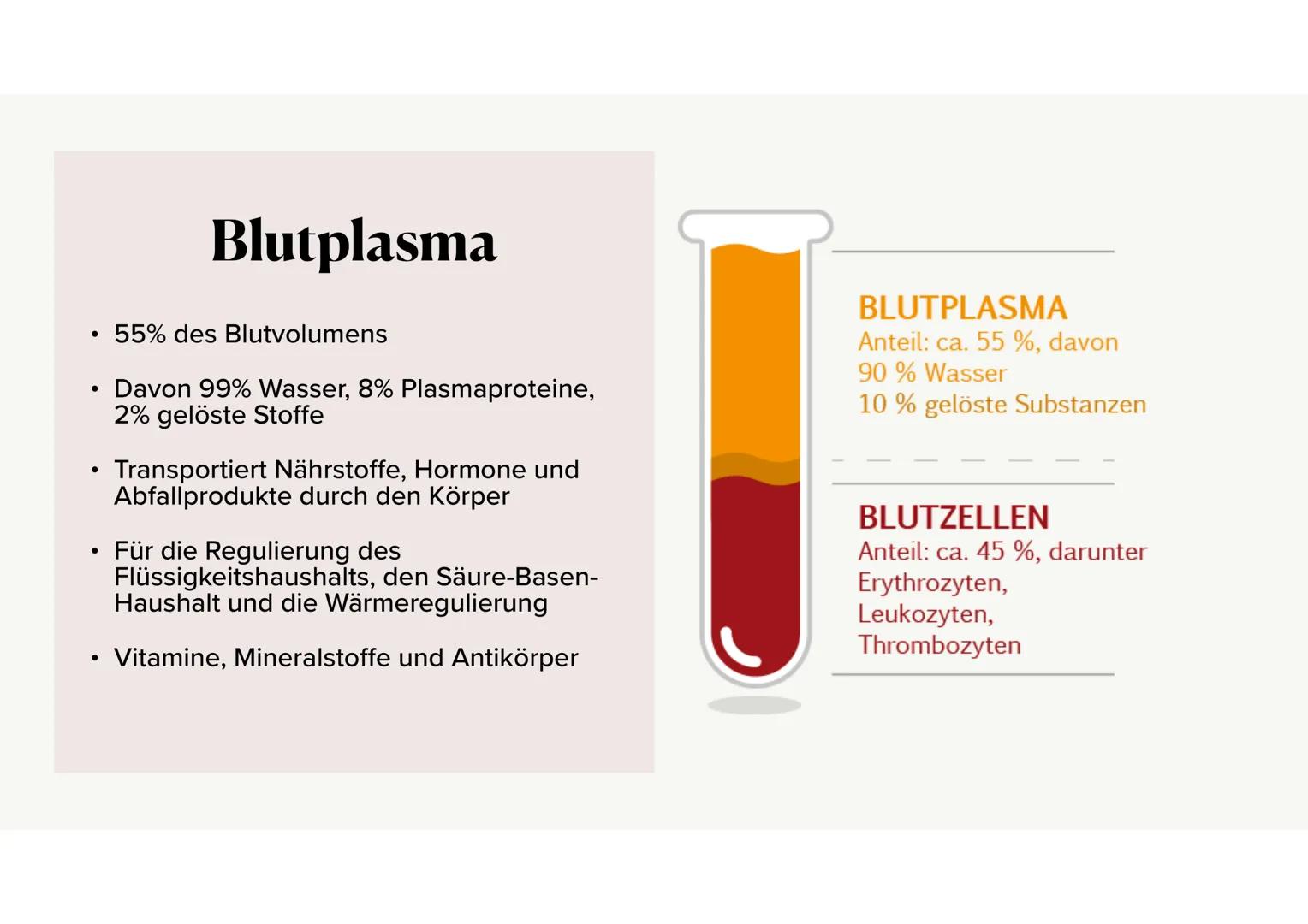 Das Blut Gliederung
.
•
Aufgaben des Bluts
Bestandteile des Bluts
⚫ Blutplasma
• Erythrozyten, Thrombozyten, Leukozyten
·
Blutgruppen
•
Rhes