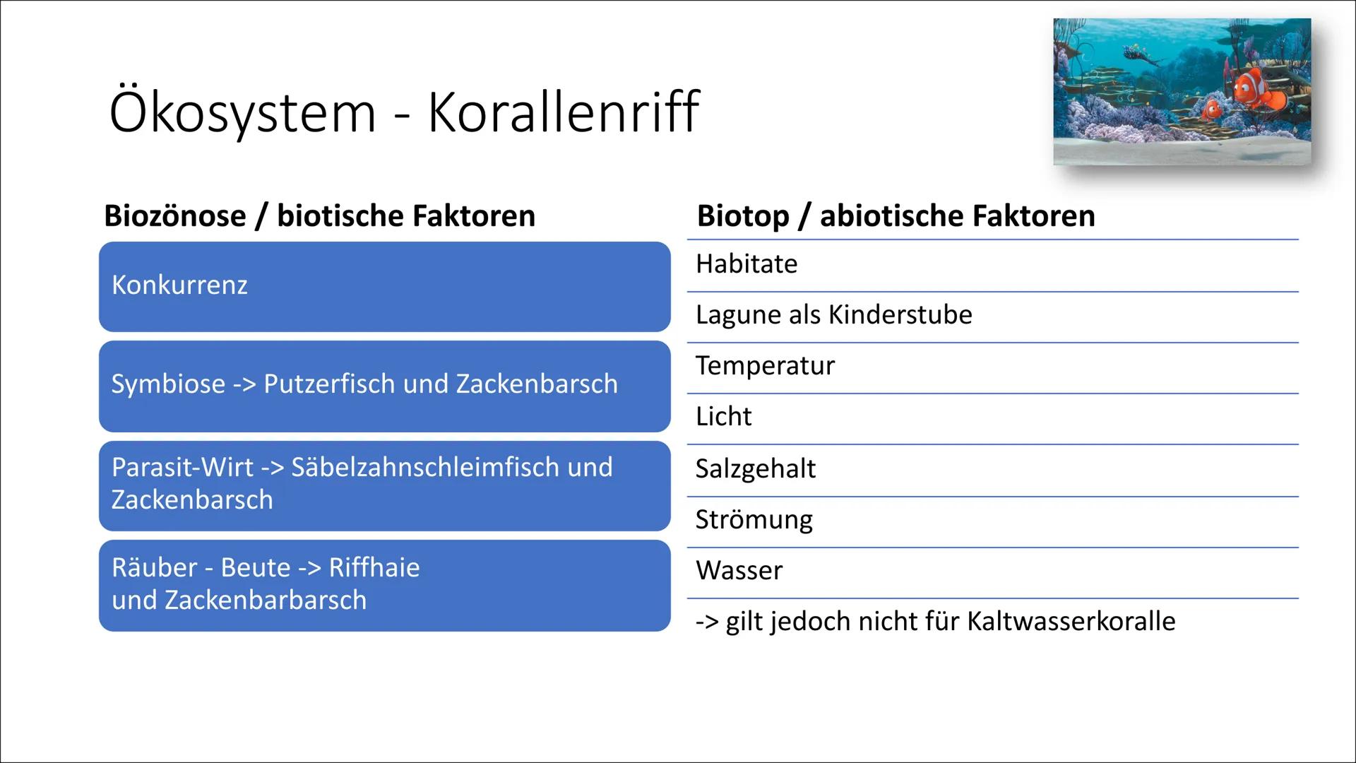 Stall
Ökosystem
Korallenriff Gliederung
Verbreitungsgebiet von Korallenriff
Korallenriff - Biotop & Biozönose
Zonierung
Rifftypen
Allgemein/
