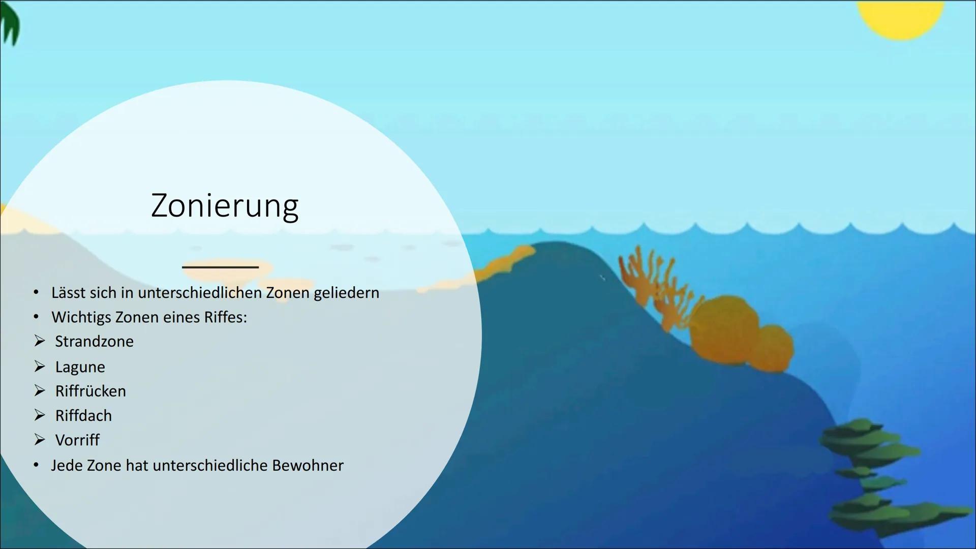 Stall
Ökosystem
Korallenriff Gliederung
Verbreitungsgebiet von Korallenriff
Korallenriff - Biotop & Biozönose
Zonierung
Rifftypen
Allgemein/