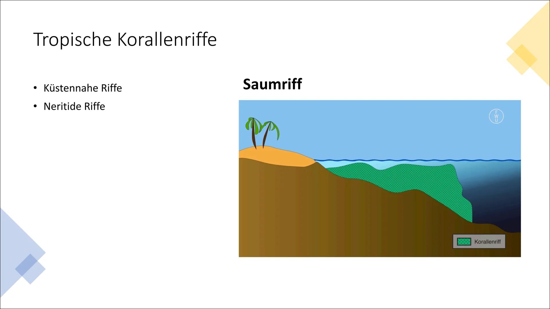 Stall
Ökosystem
Korallenriff Gliederung
Verbreitungsgebiet von Korallenriff
Korallenriff - Biotop & Biozönose
Zonierung
Rifftypen
Allgemein/