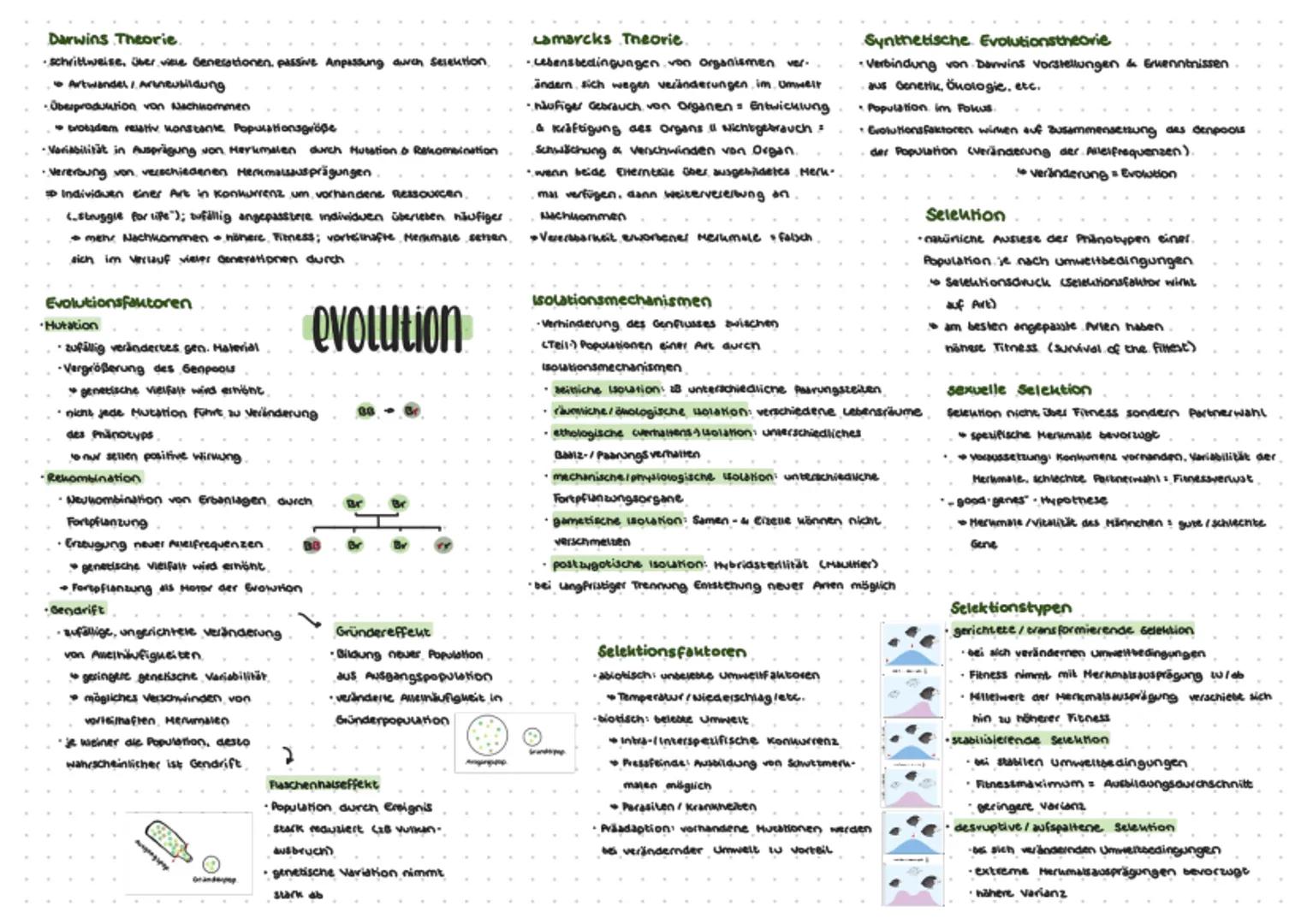# Darwins Theorie.
- schrittweise, über viele Generationen, passive Anpassung durch Selektion
- Artwandel / Araneubildung
- Übesproduktion v