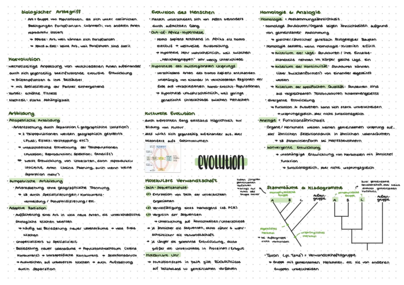 # Darwins Theorie.
- schrittweise, über viele Generationen, passive Anpassung durch Selektion
- Artwandel / Araneubildung
- Übesproduktion v