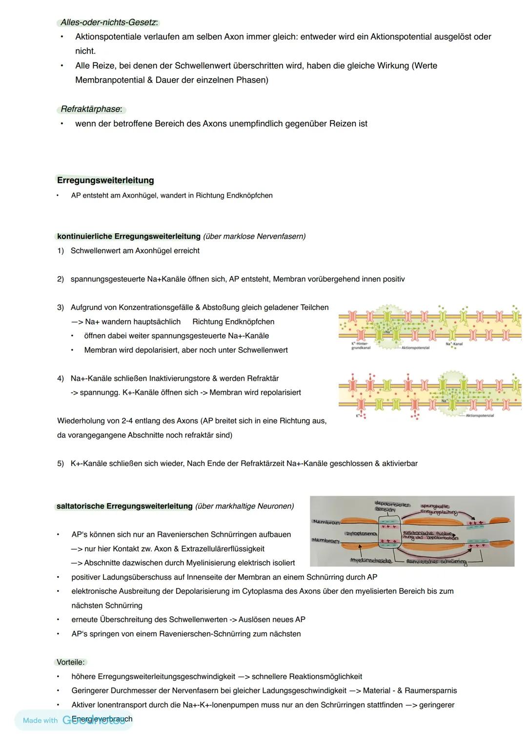 Reiz-Reaktion
Außenwelt
im Körper
Nerven
bahn
Reiz -> Sinneszelle
ZNS
(Zentrales Nervensystem)
-> Gehirn (Wahrnehmung,
Verarbeitung)
->