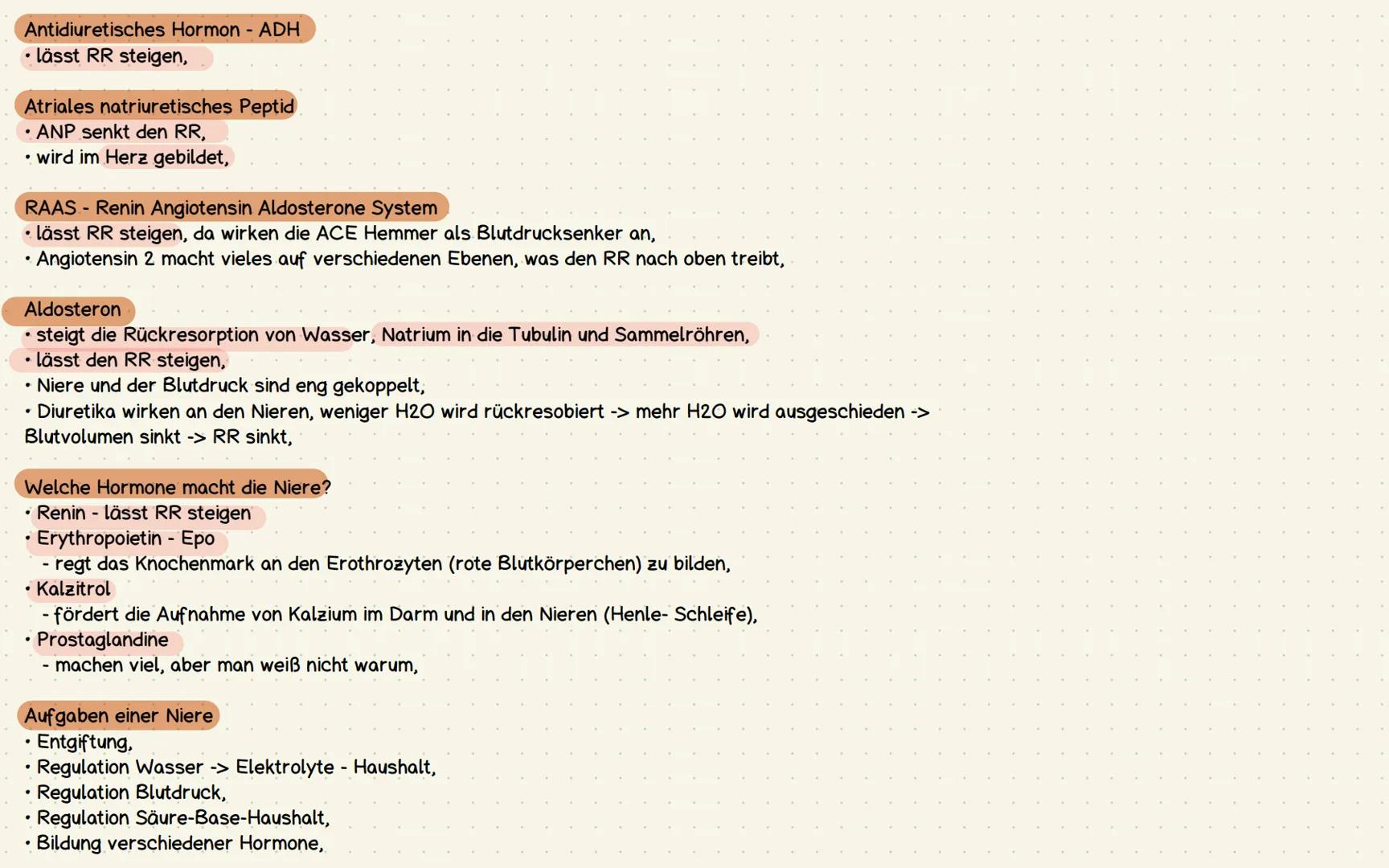 Niere - Ren
Niere (Ren dexter, Ren sinister)
* paariges Organ,
* die 11.und 12. Rippe decken die Spitze ab,
* 1/4 des Blutes findet s