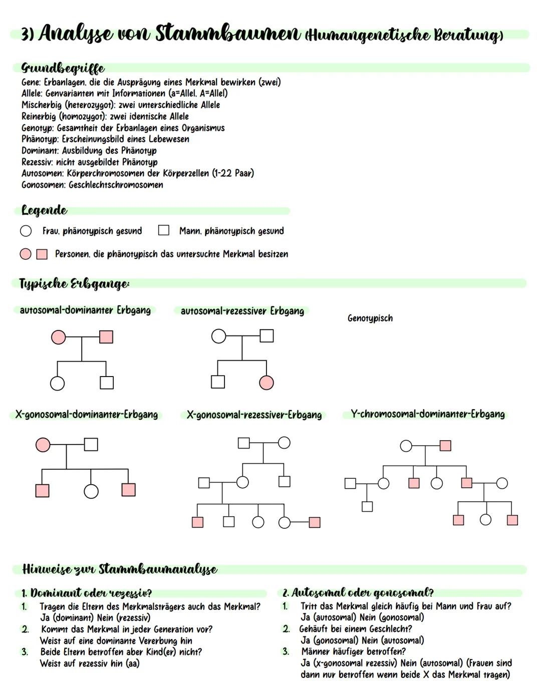 Inhaltsverzeichnis.
.
.
.
Meiose und Rekombination
Analyse vom Stammbäumen
Proteinbiosynthese
Genregulation
Gentechnik (molekulargenetische