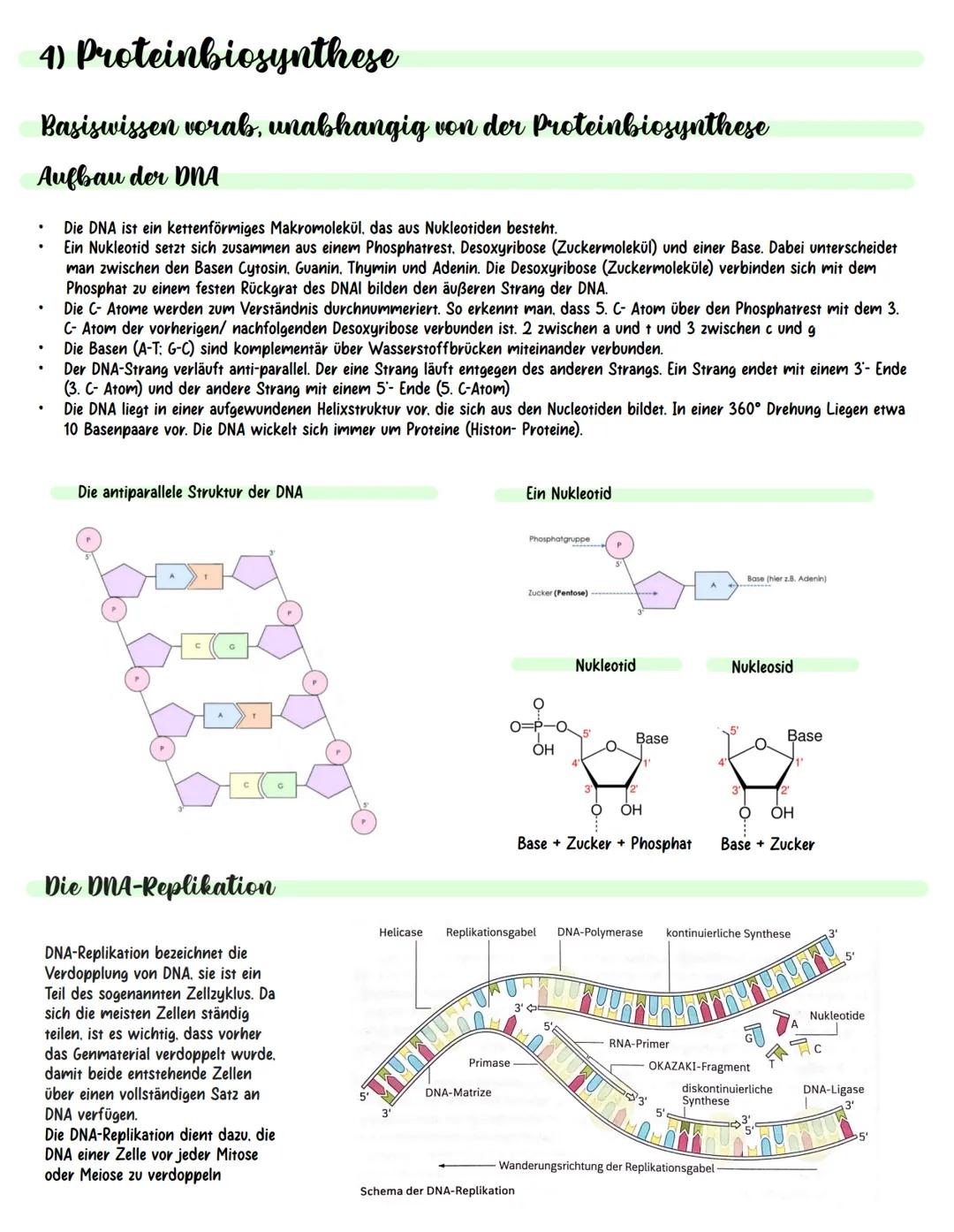 Inhaltsverzeichnis.
.
.
.
Meiose und Rekombination
Analyse vom Stammbäumen
Proteinbiosynthese
Genregulation
Gentechnik (molekulargenetische