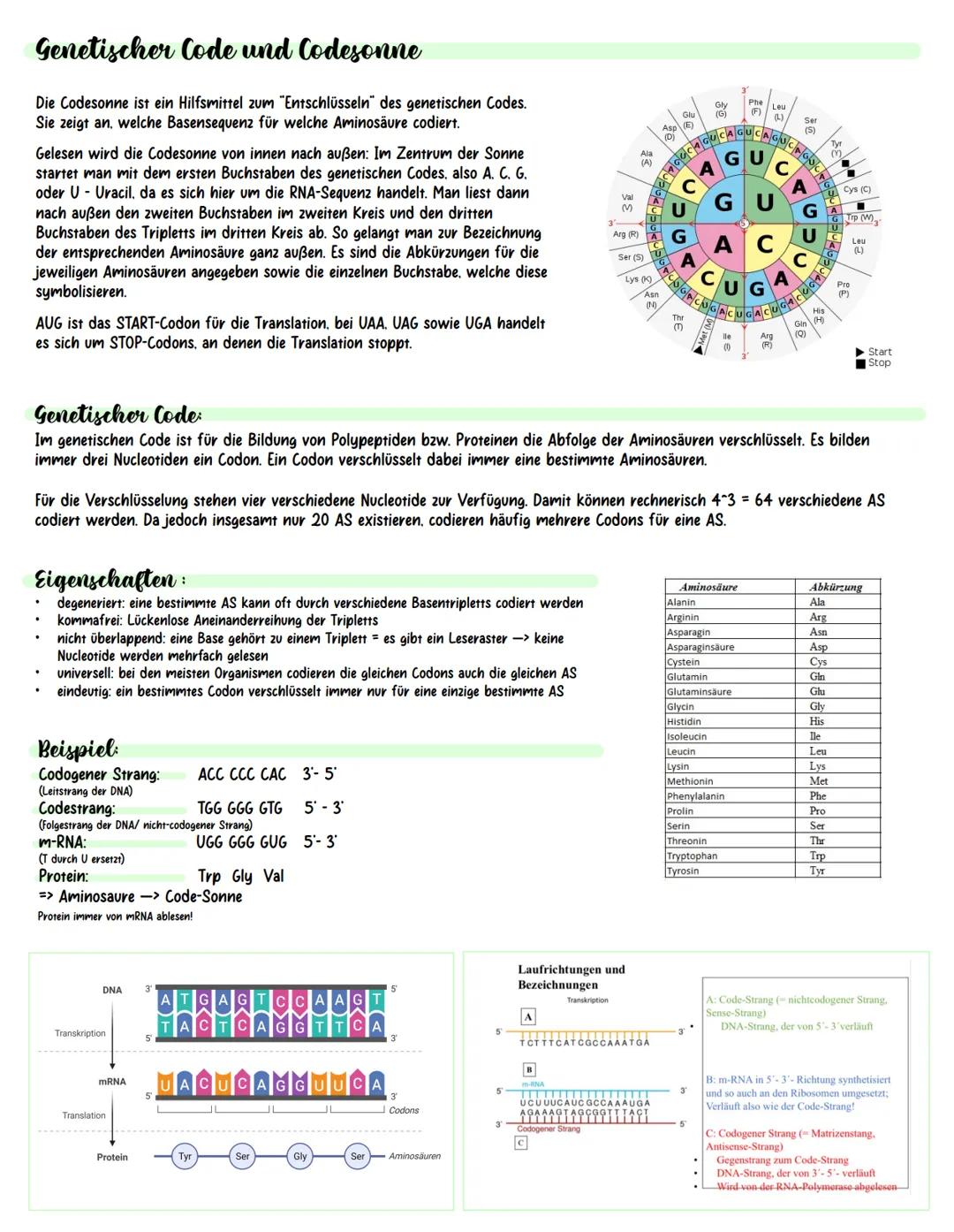 Inhaltsverzeichnis.
.
.
.
Meiose und Rekombination
Analyse vom Stammbäumen
Proteinbiosynthese
Genregulation
Gentechnik (molekulargenetische