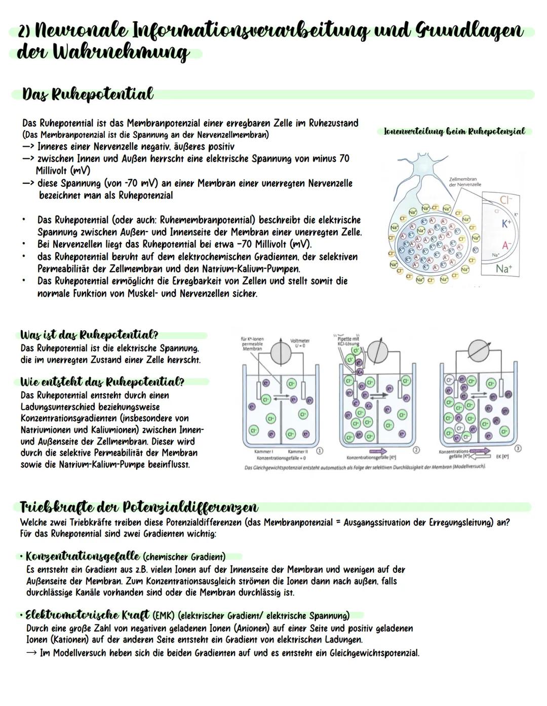 Neurobiologie
Inhaltsverzeichnis:
Aufbau und Funktion von Neuronen
neuronale Informationsverarbeitung und Grundlagen der Wahrnehmung
Plastiz