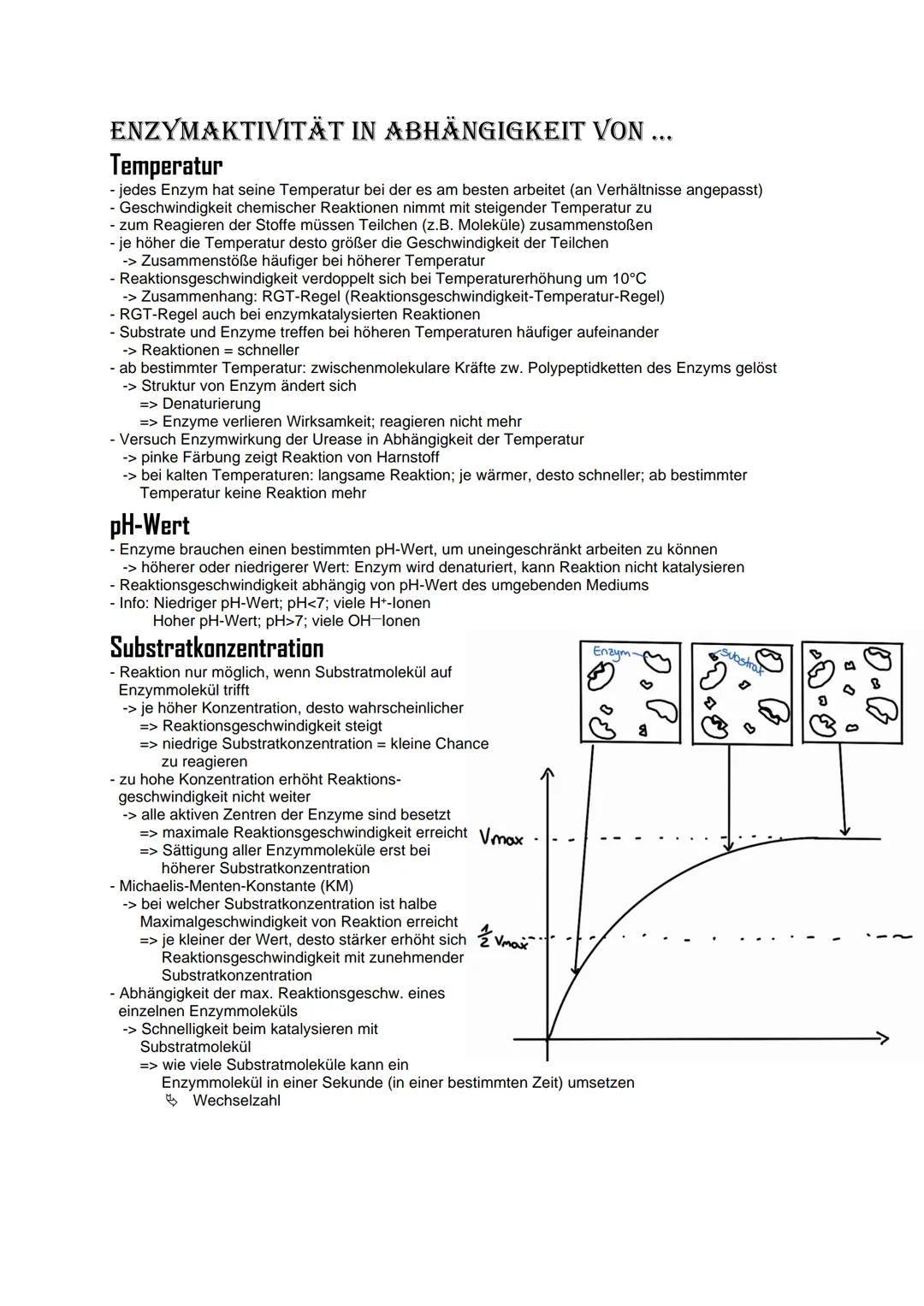 Bio Abitur Lernzettel
12.1. - Stoffwechsel
VOKABELN
Enzyme
Enzyme sind Biokatalysatoren. Sie ermöglichen Reaktionen bei Körpertemperatur, in
