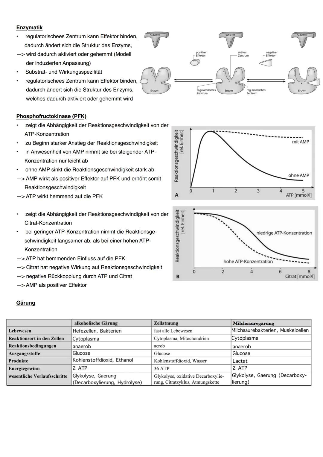 Aufbau eines Mitochondrium
äußere Mitochon-
drienmembran
innere Mitochon-·
drien membran
Intermembianraum-
Matrix
DNA
Ribosomen
Zellatmung
A