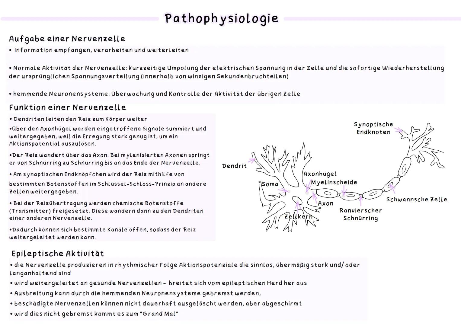 Epilepsie
Definition
• Die Epilepsie ist eine relativ häufige neurologische Erkrankung. Sie gehört zu den vorübergehenden Funktionsstörungen